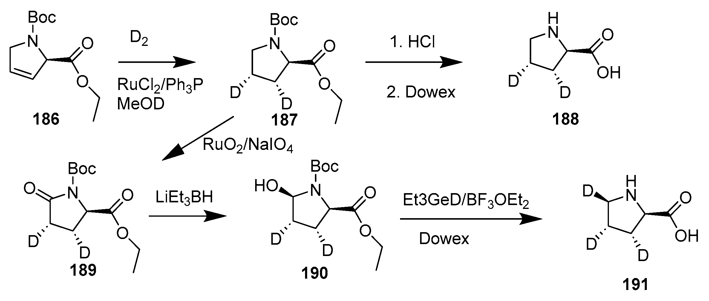 Bioengineering 12 00916 sch040