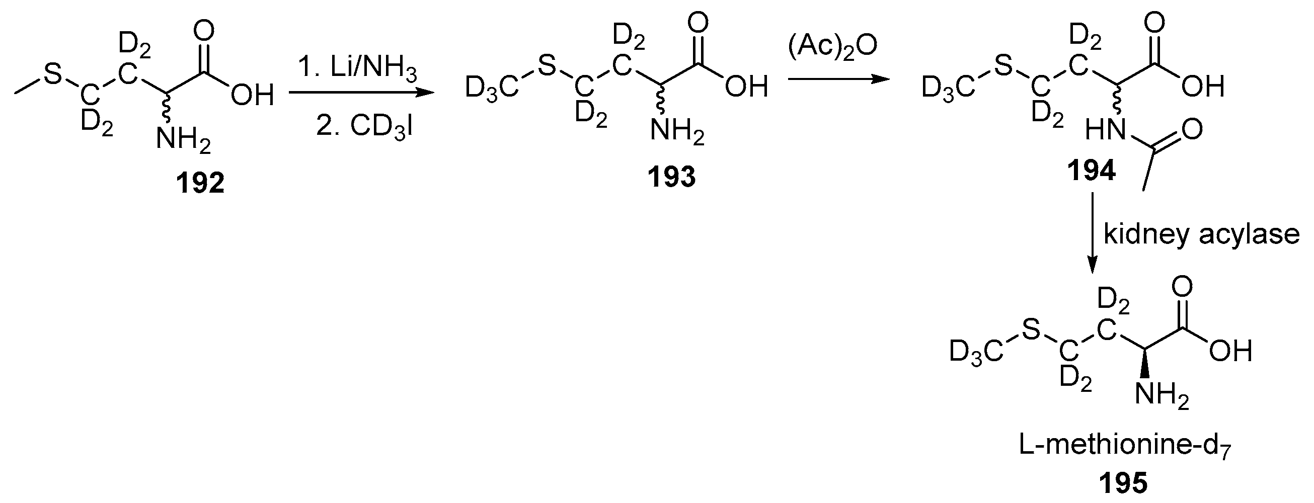 Bioengineering 12 00916 sch042