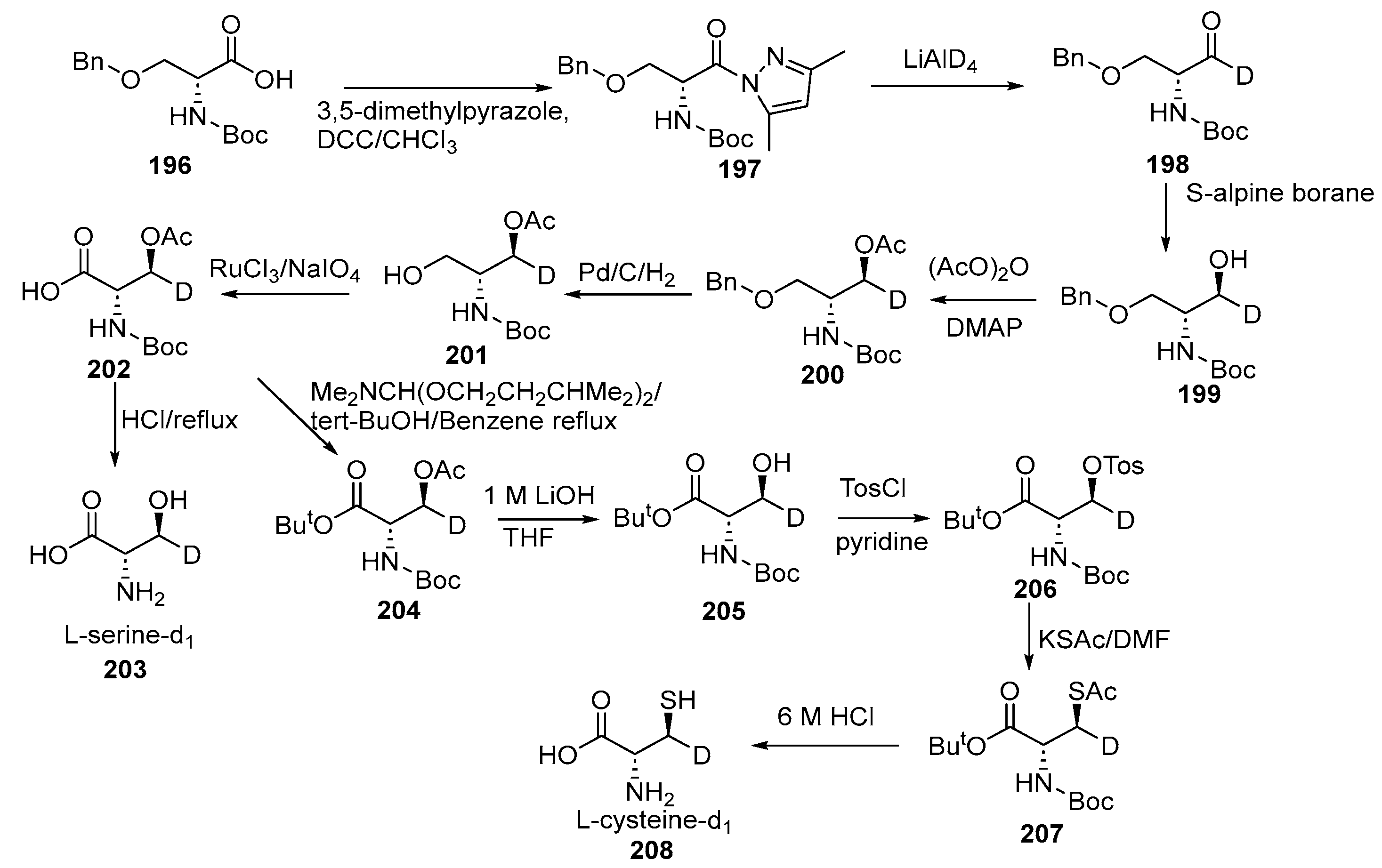 Bioengineering 12 00916 sch044