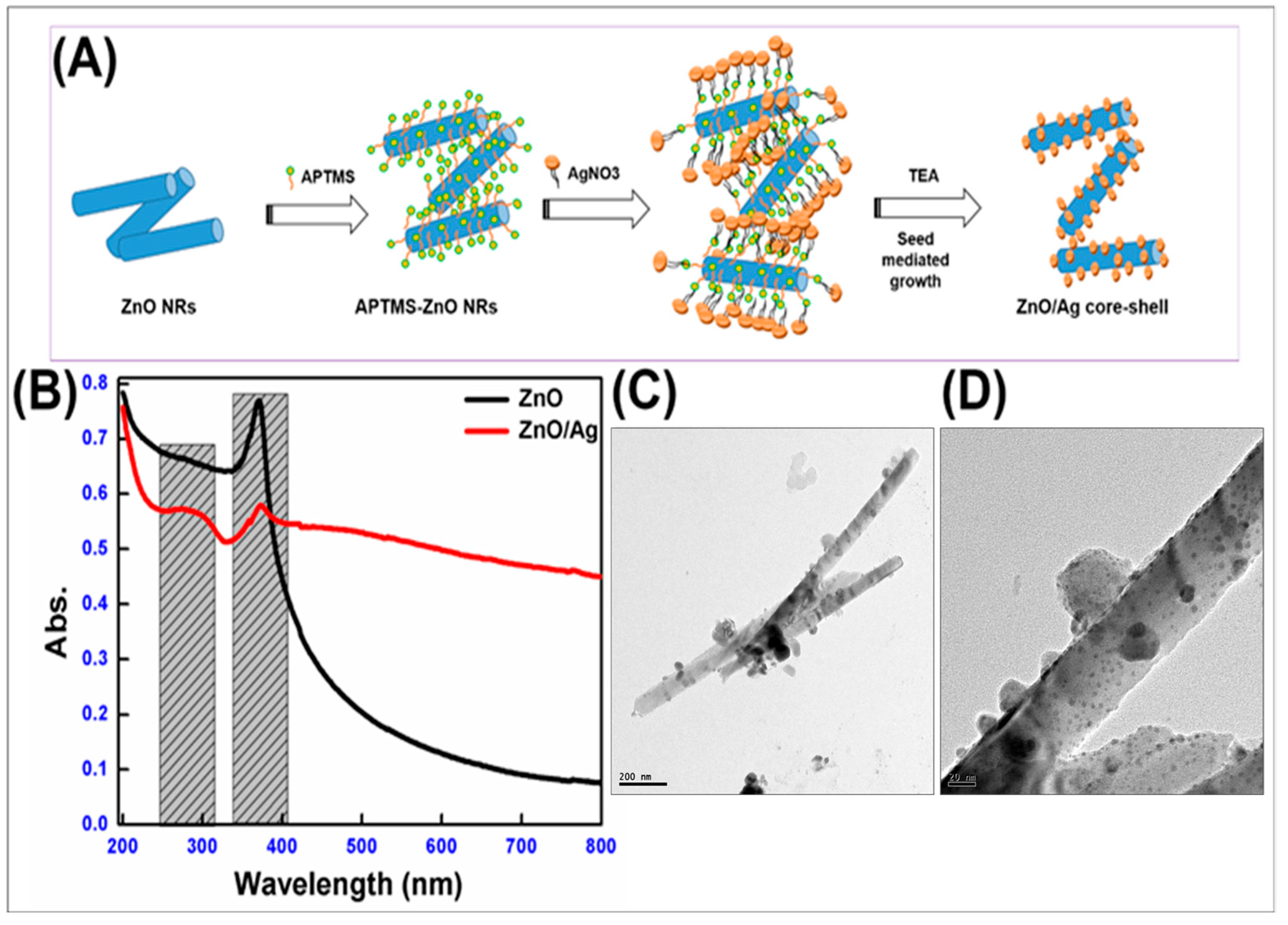 Bioengineering 12 00917 g001
