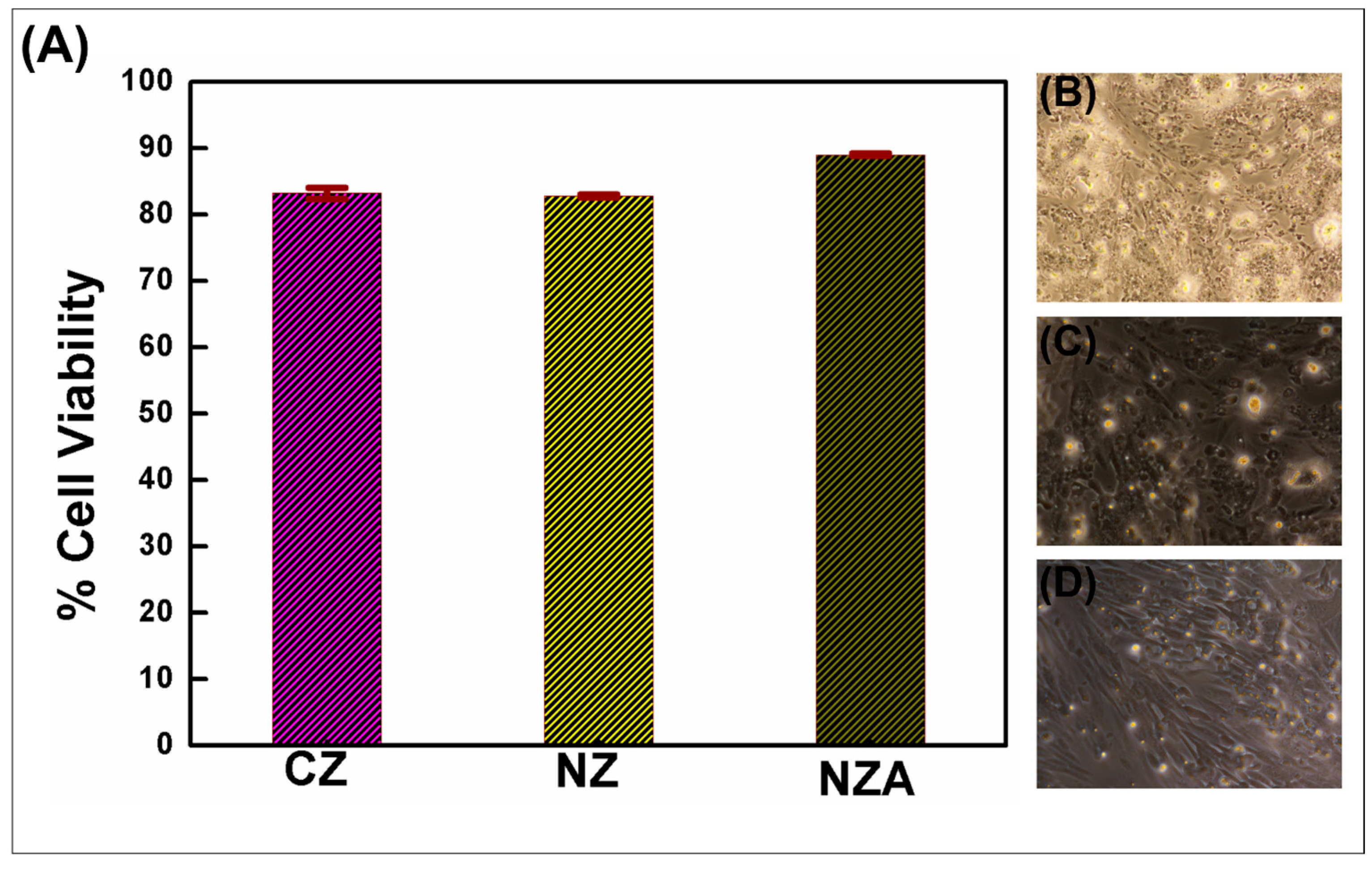 Bioengineering 12 00917 g002
