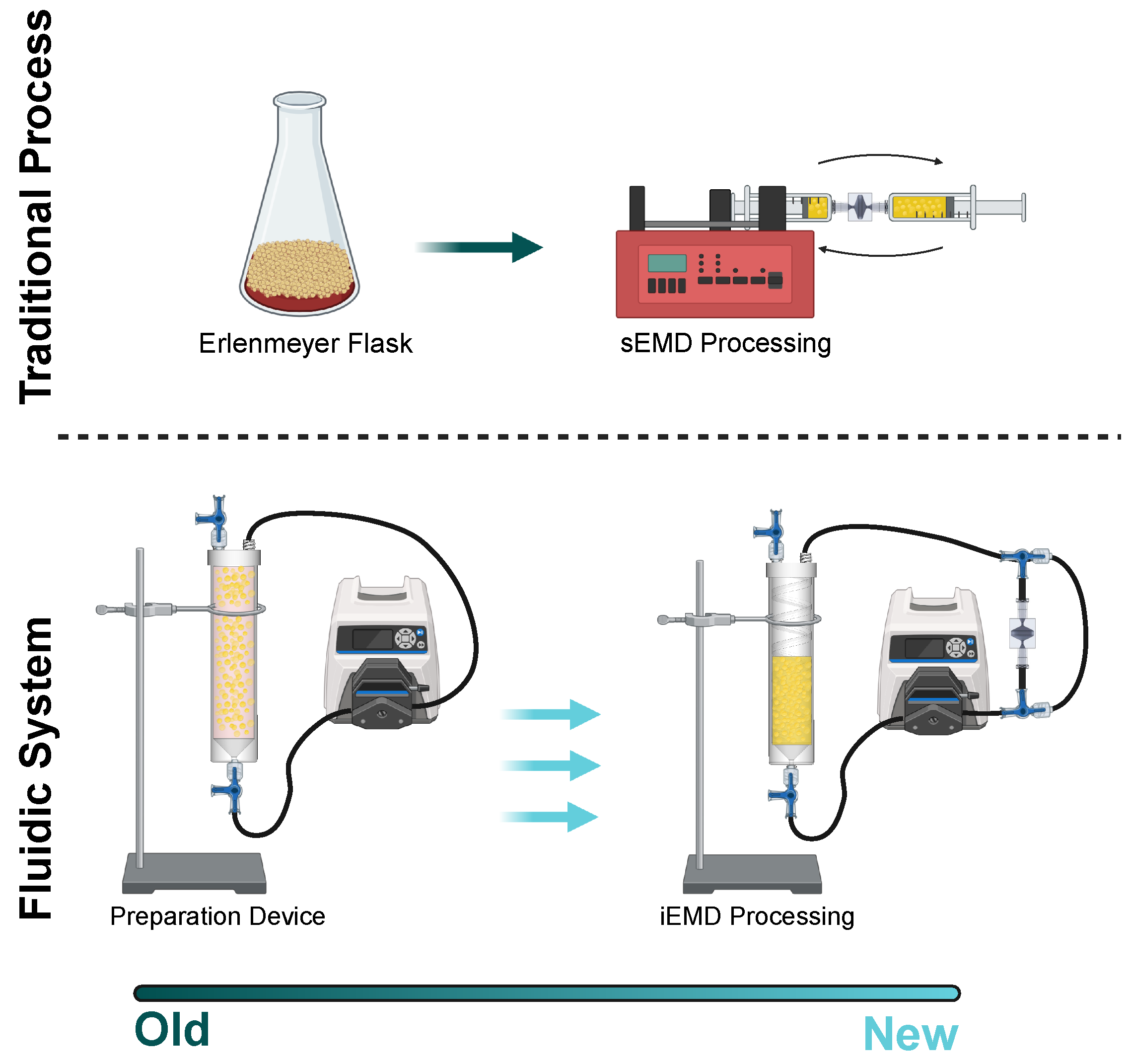 Bioengineering 12 00918 g001