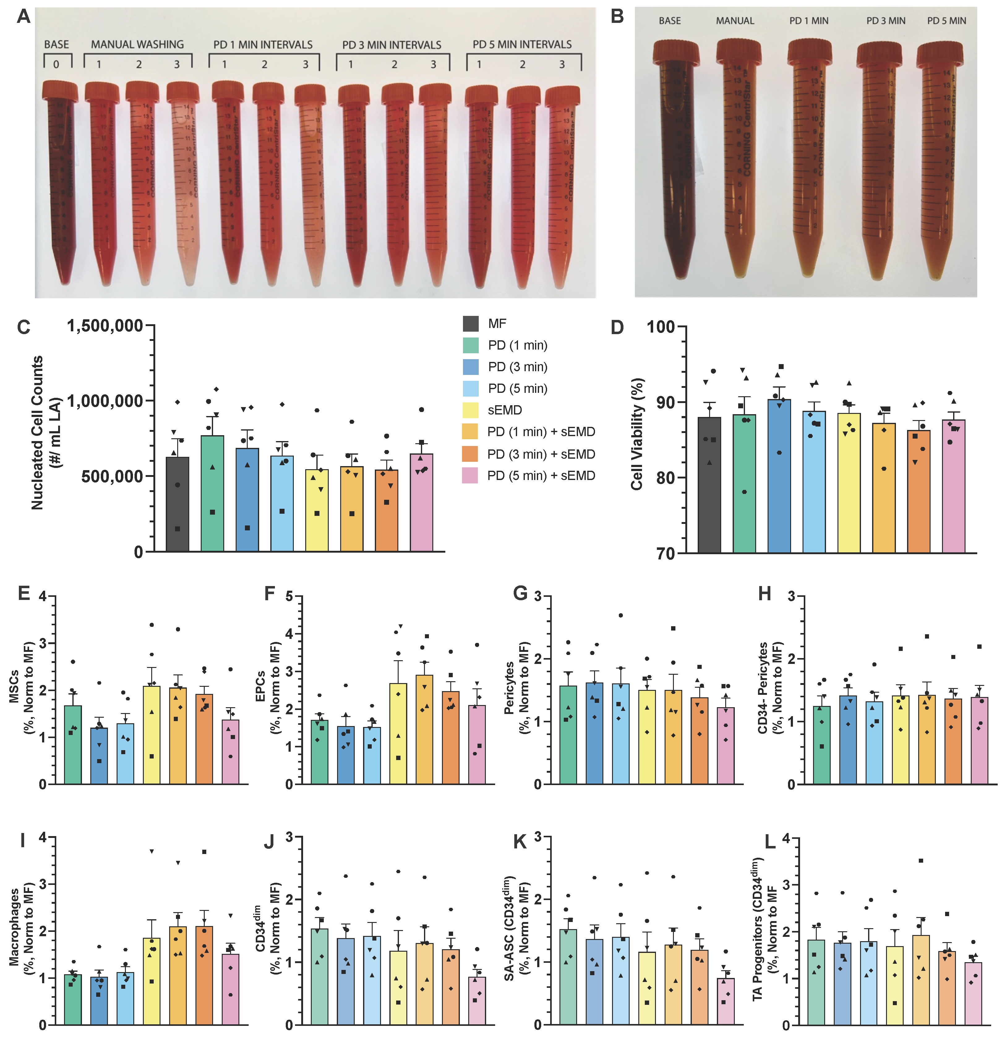 Bioengineering 12 00918 g004