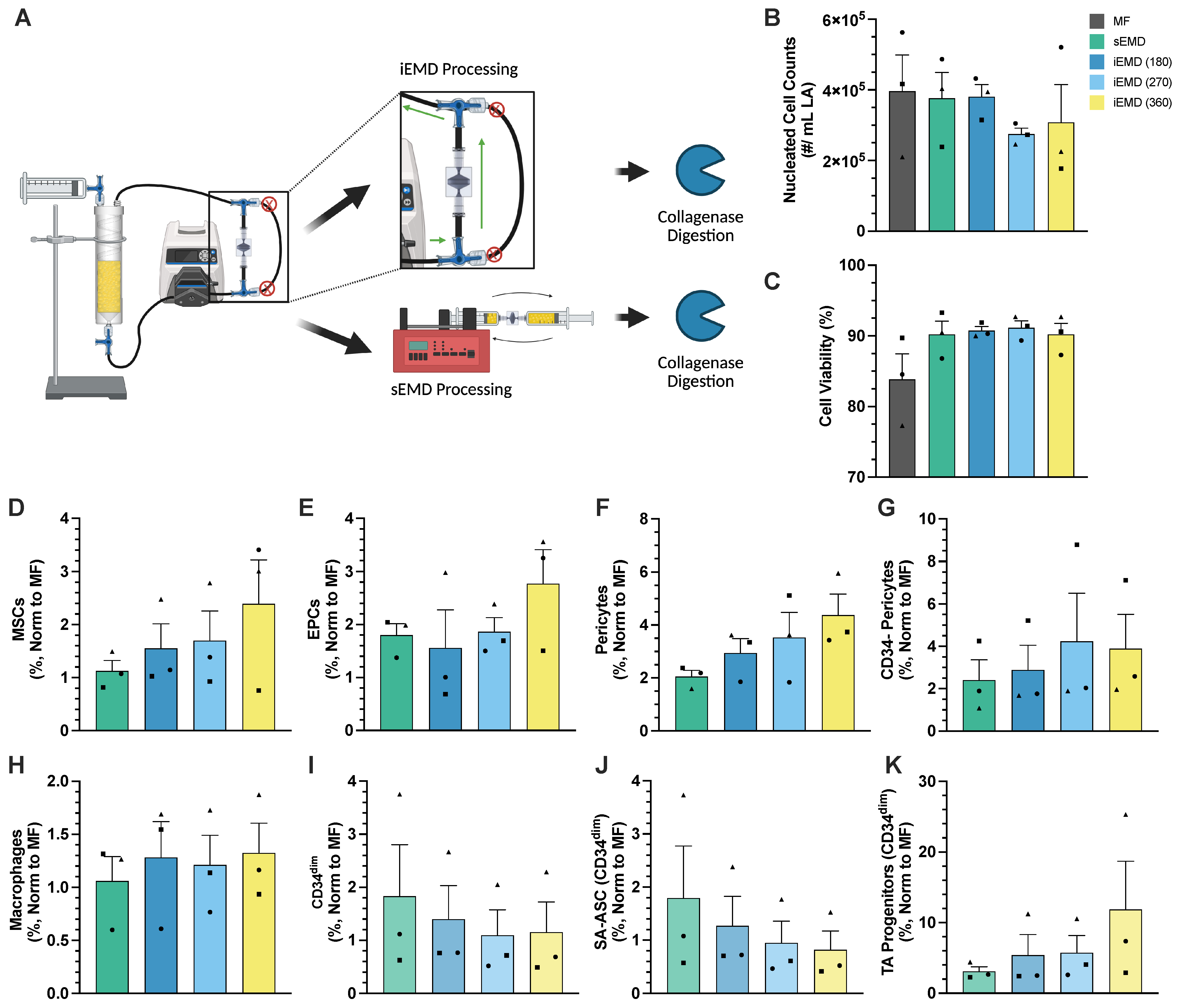 Bioengineering 12 00918 g006