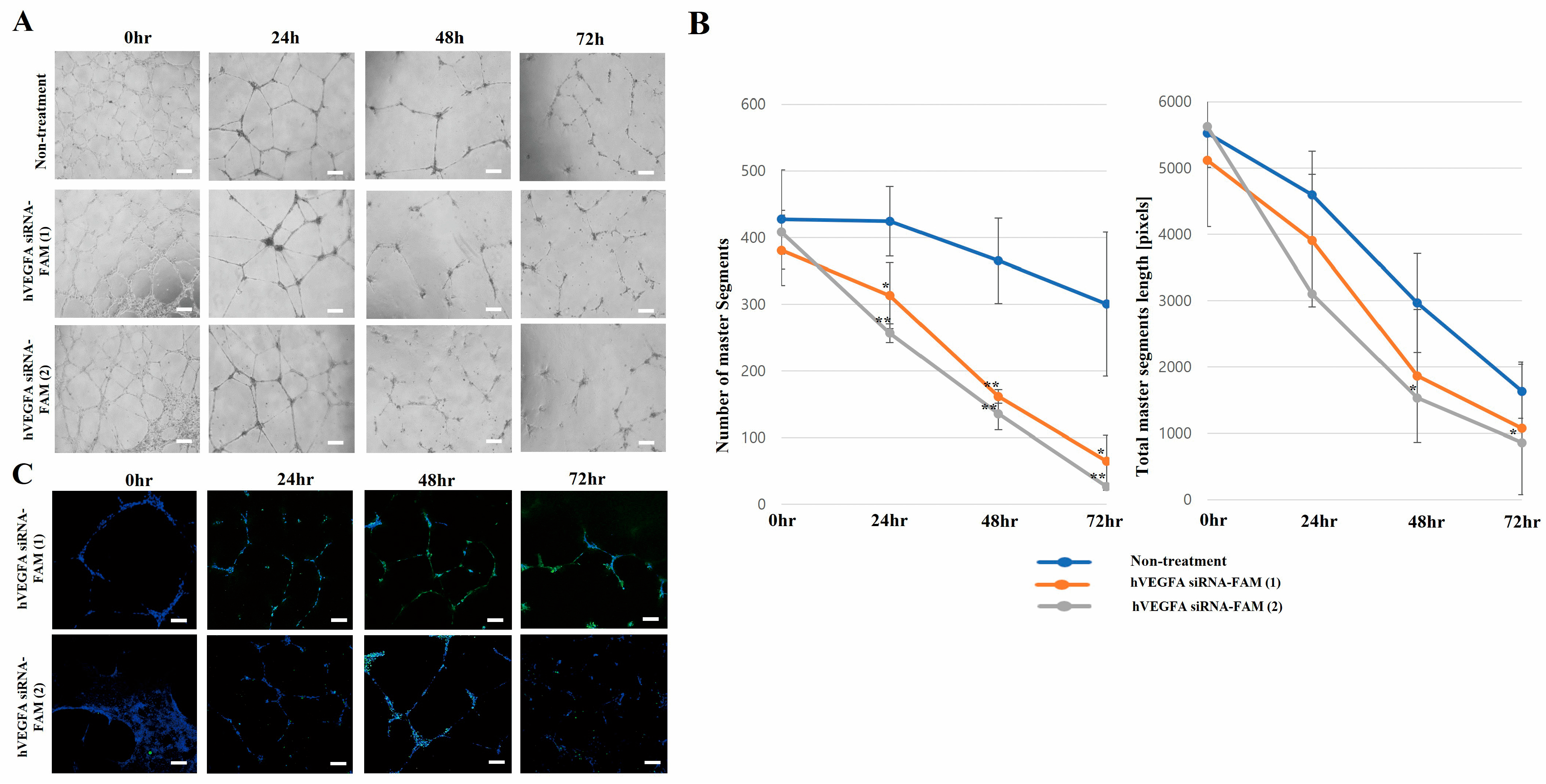 Bioengineering 12 00919 g006