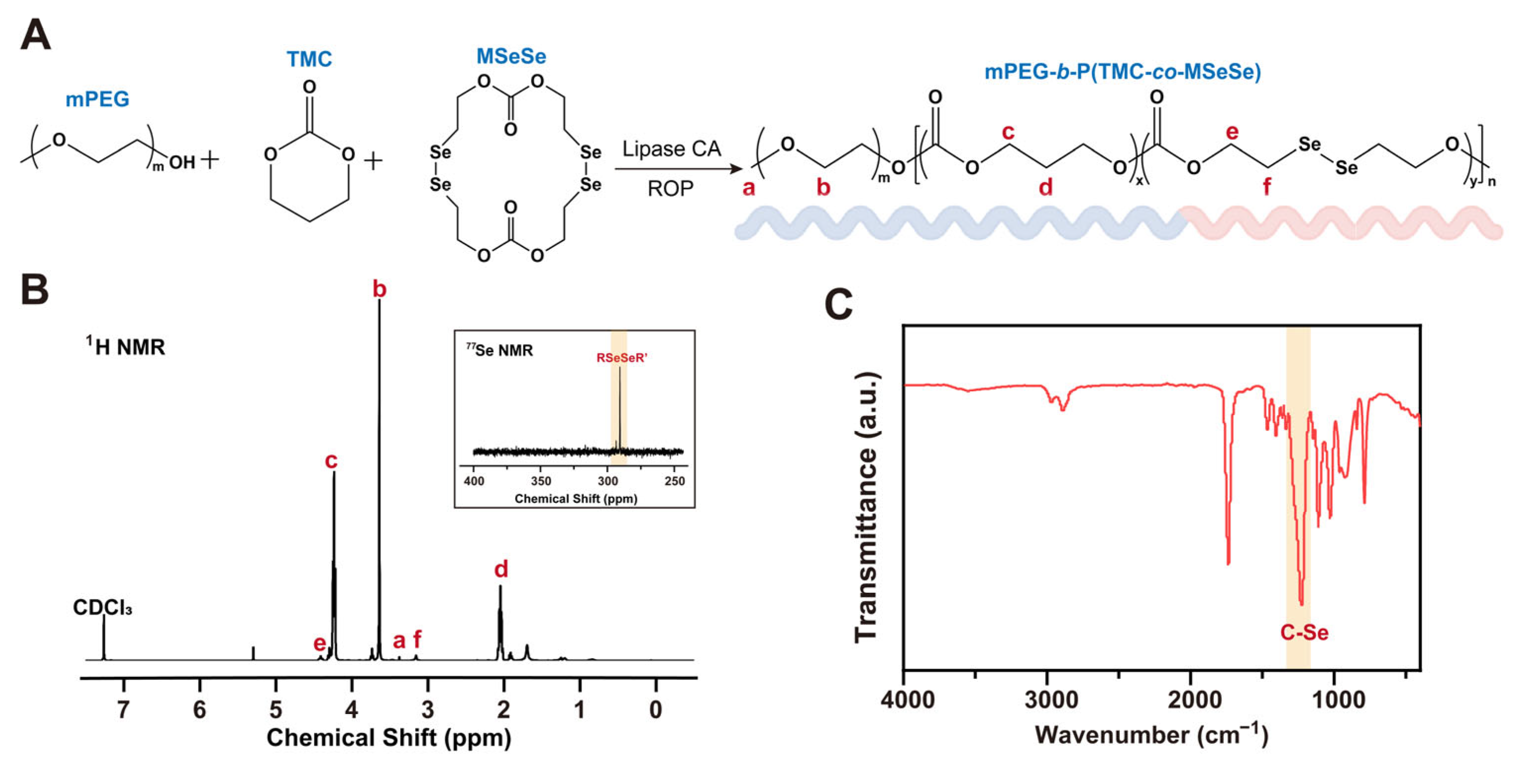 Bioengineering 12 00920 g001 Bioengineering 12 00920 g001