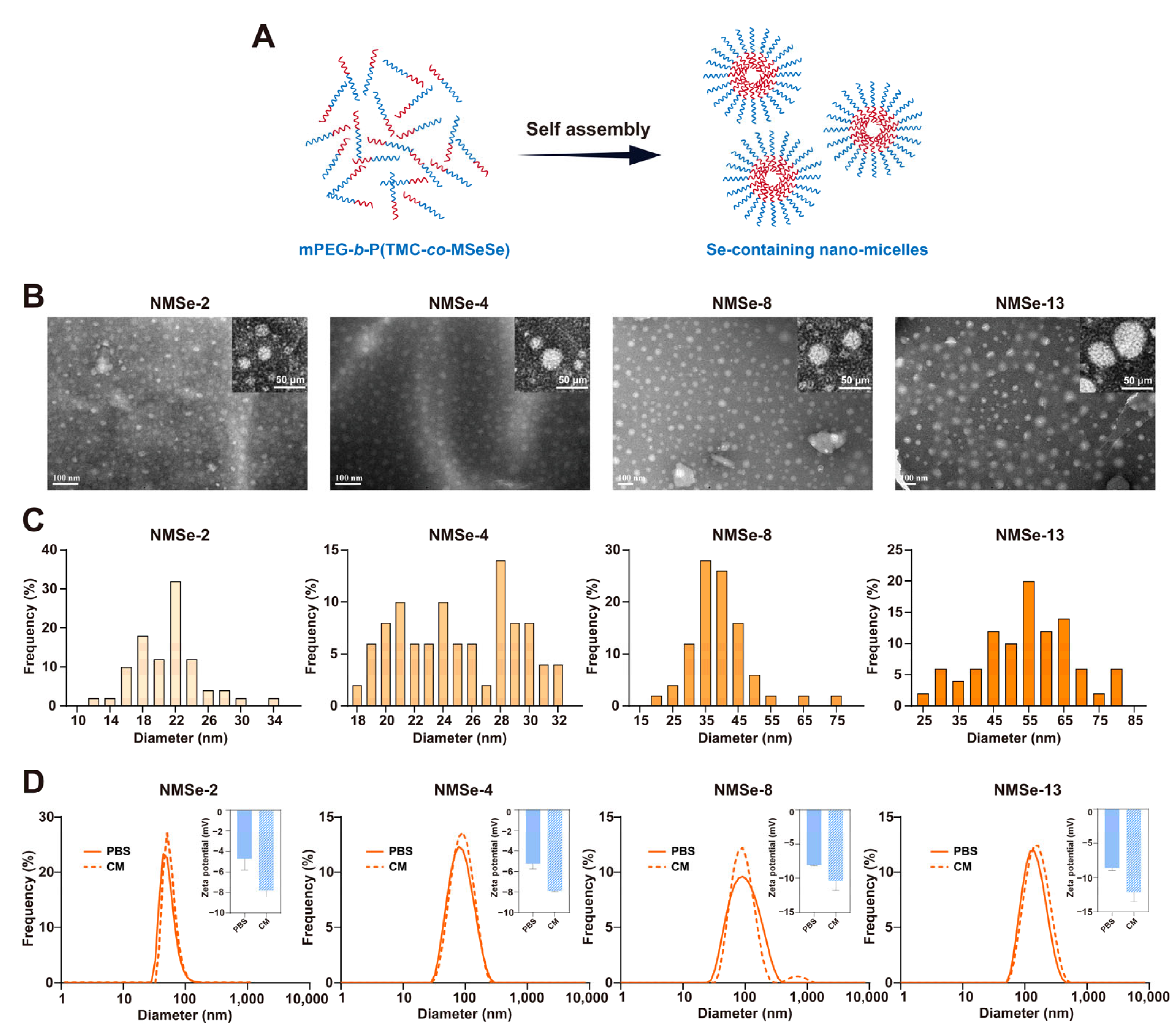 Bioengineering 12 00920 g002 Bioengineering 12 00920 g002