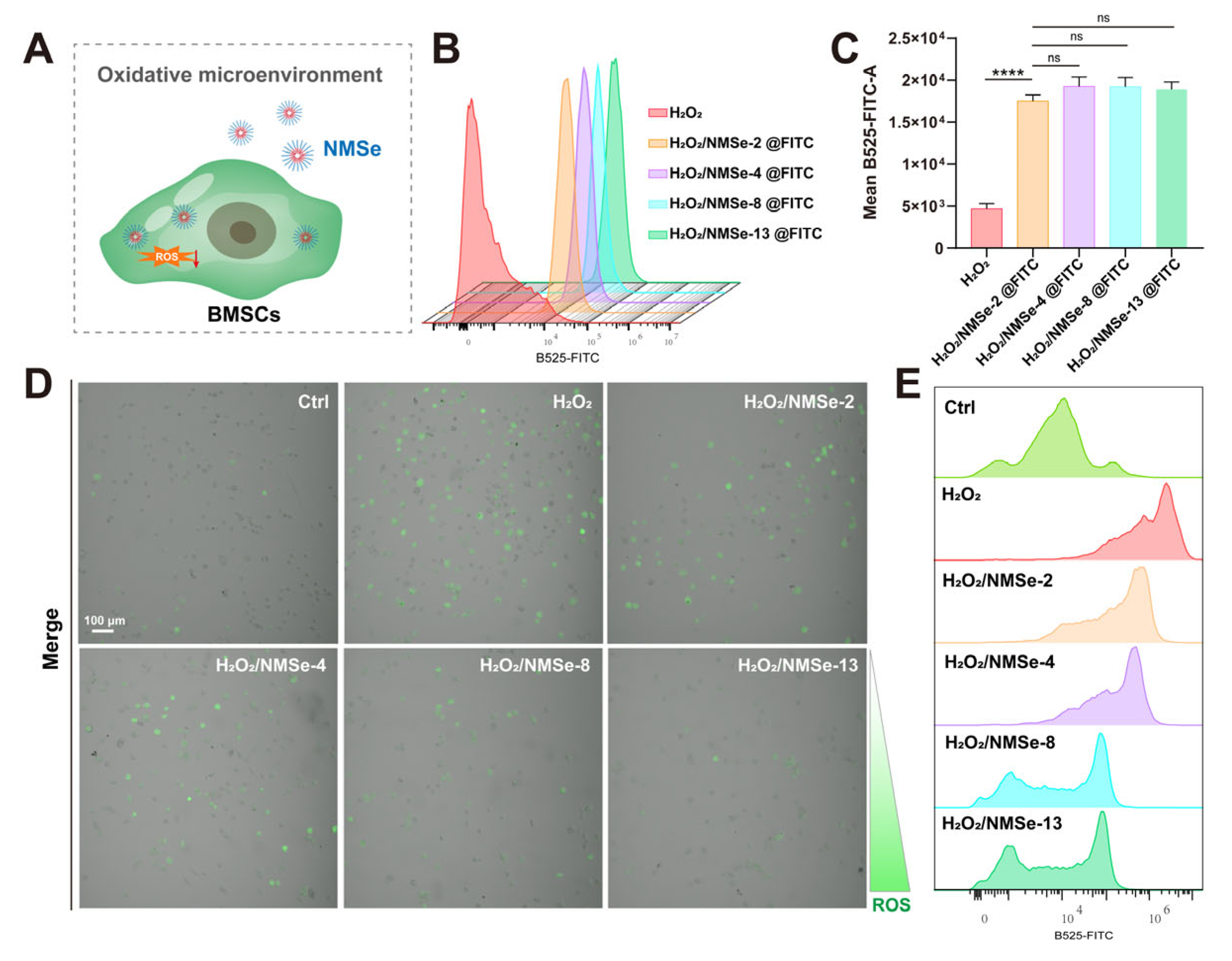 Bioengineering 12 00920 g004 Bioengineering 12 00920 g004