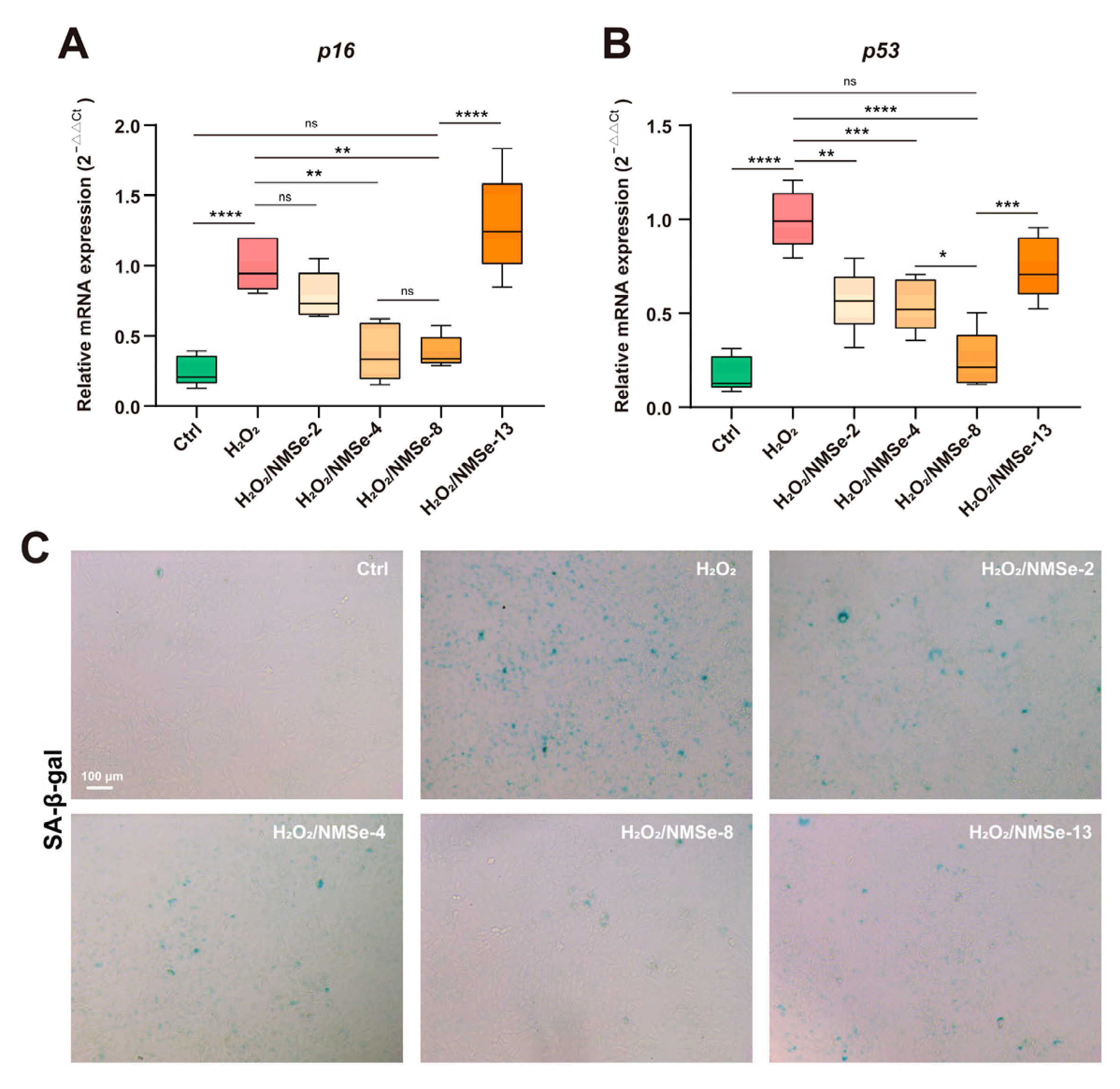 Bioengineering 12 00920 g005 Bioengineering 12 00920 g005