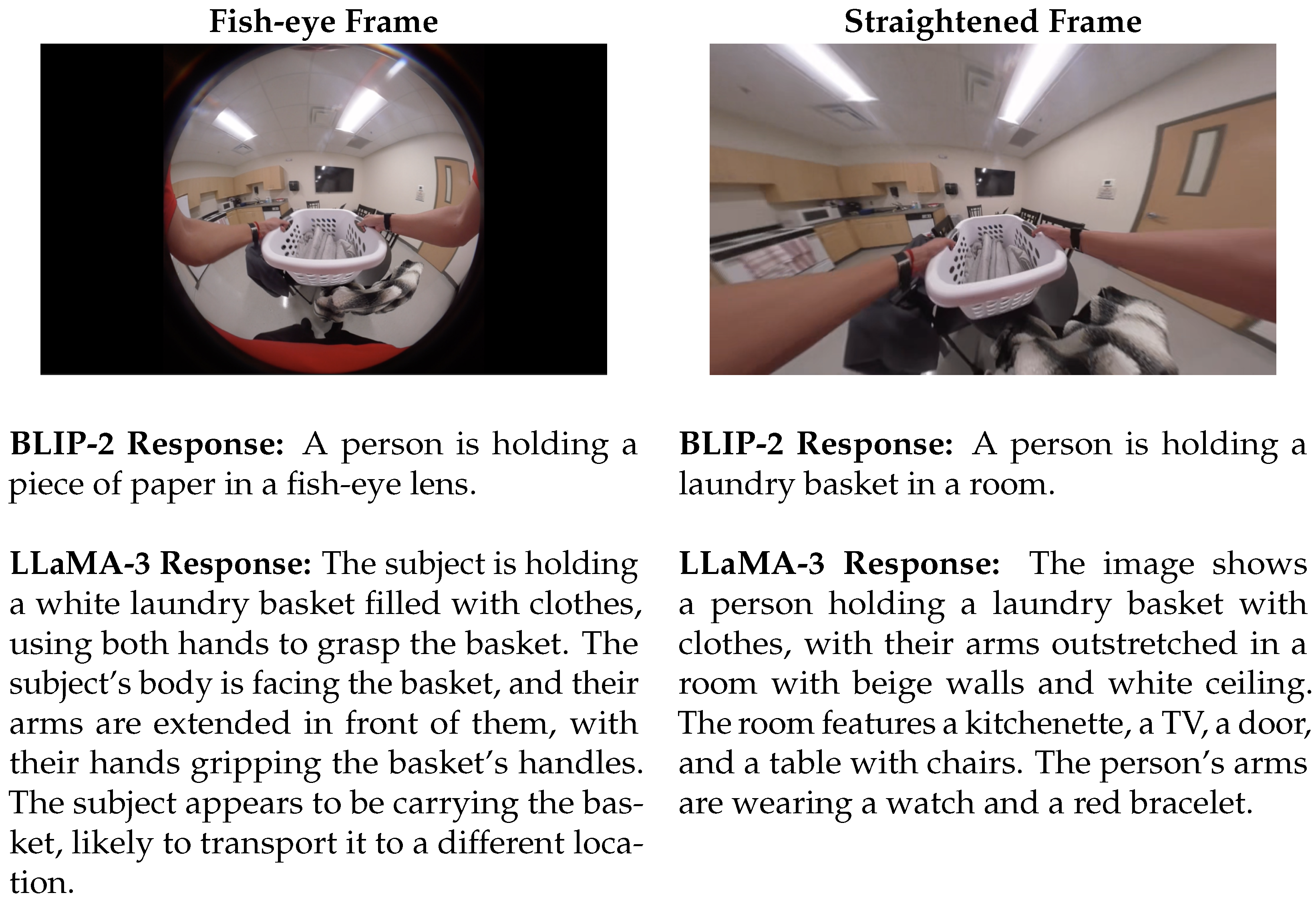 Bioengineering 12 00922 g002