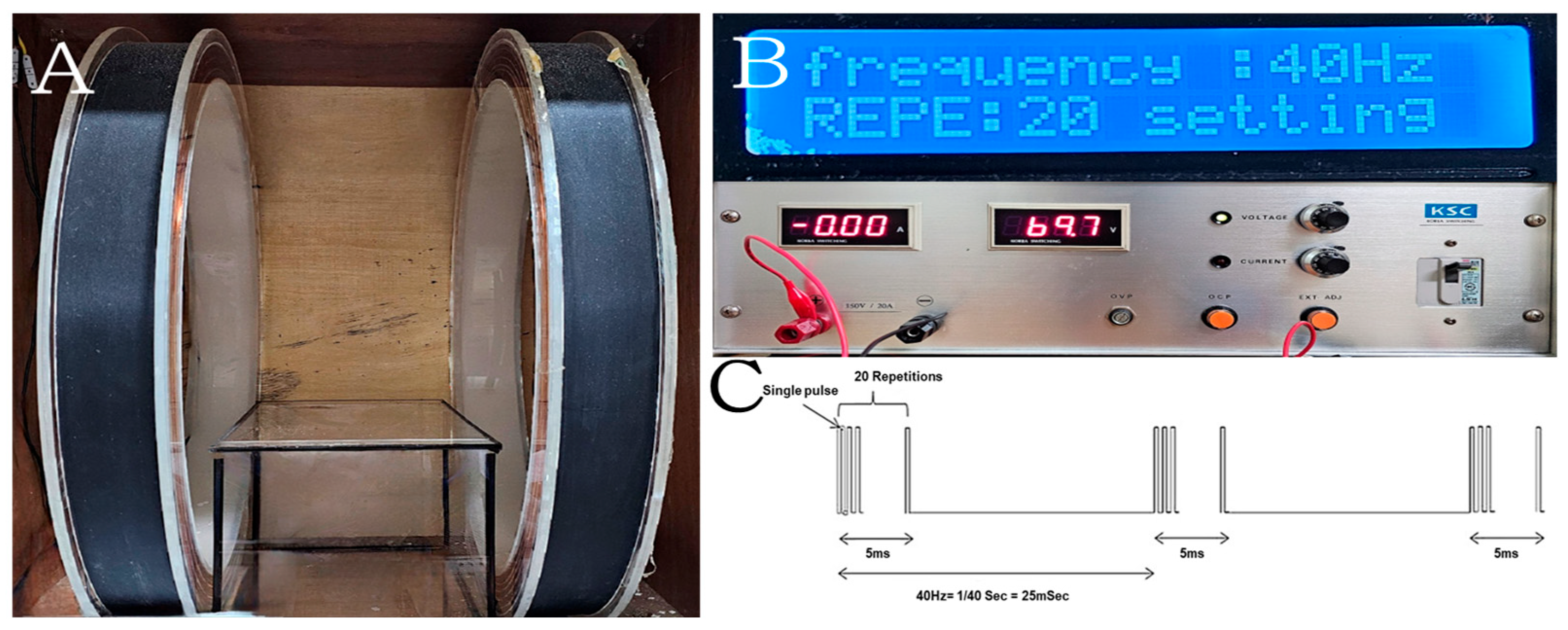 Bioengineering 12 00923 g001