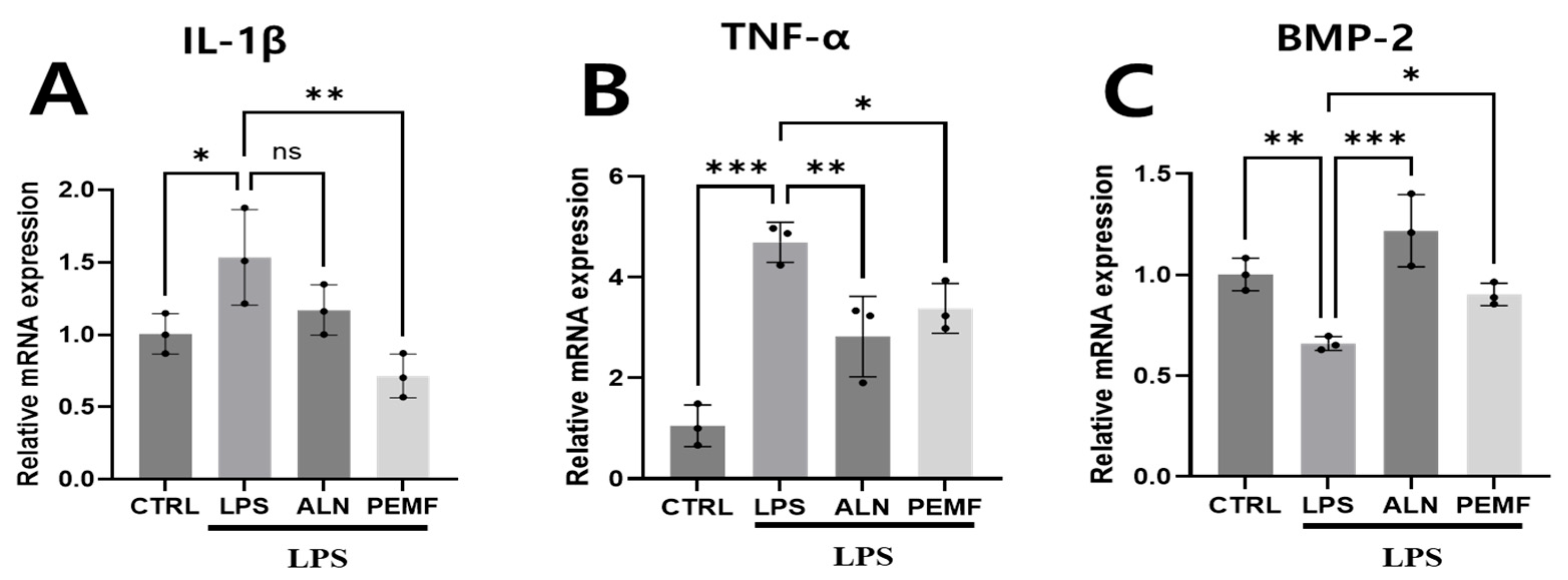 Bioengineering 12 00923 g003