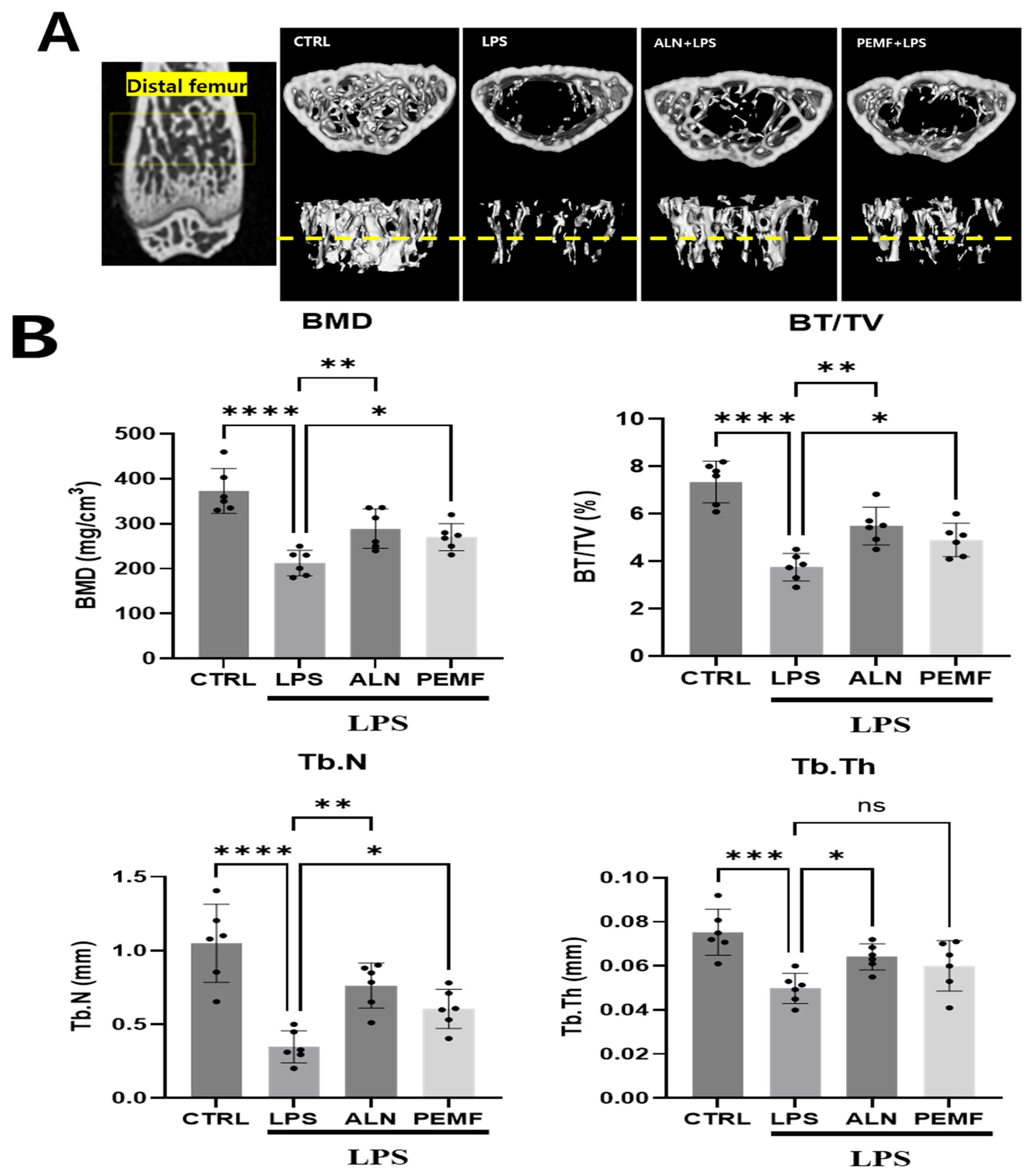 Bioengineering 12 00923 g005