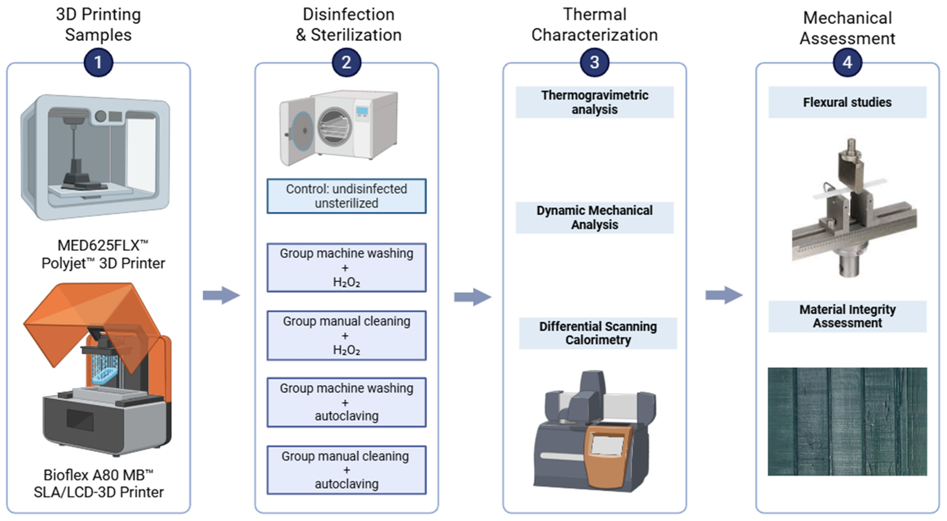 Bioengineering 12 00924 g001
