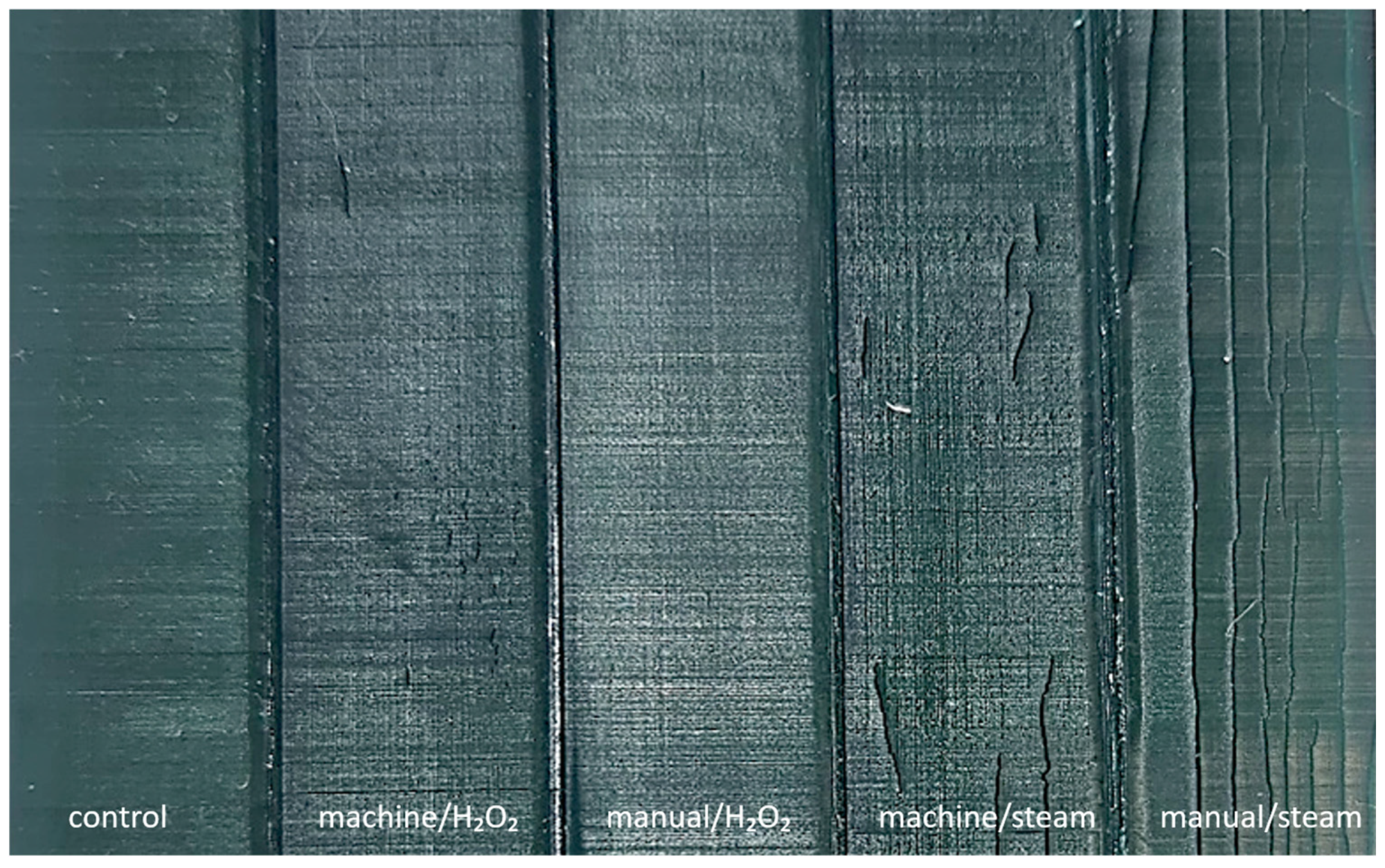 Bioengineering 12 00924 g002