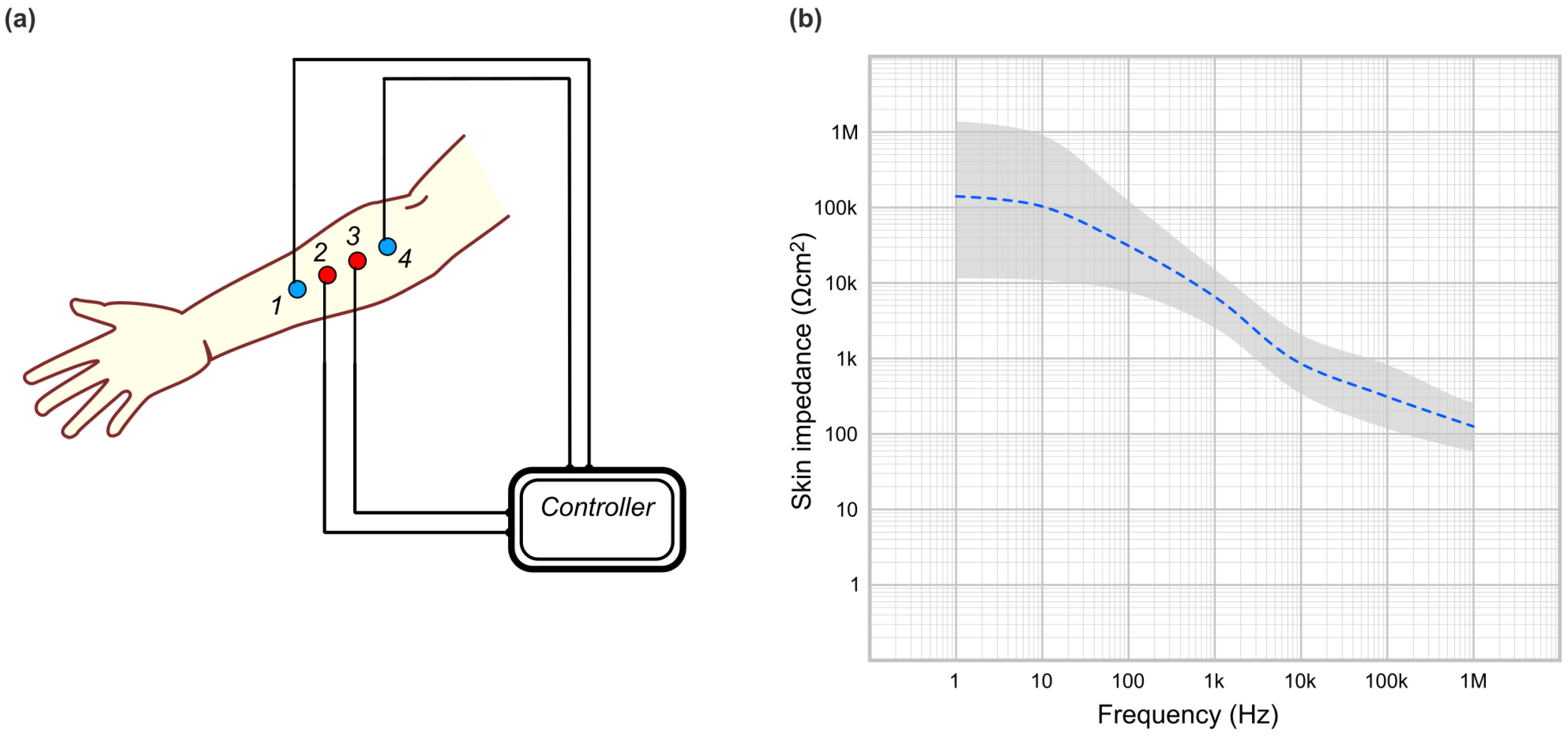 Bioengineering 12 00926 g001