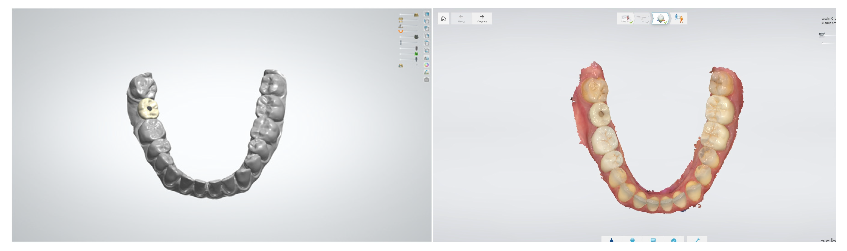 Bioengineering 12 00927 g004