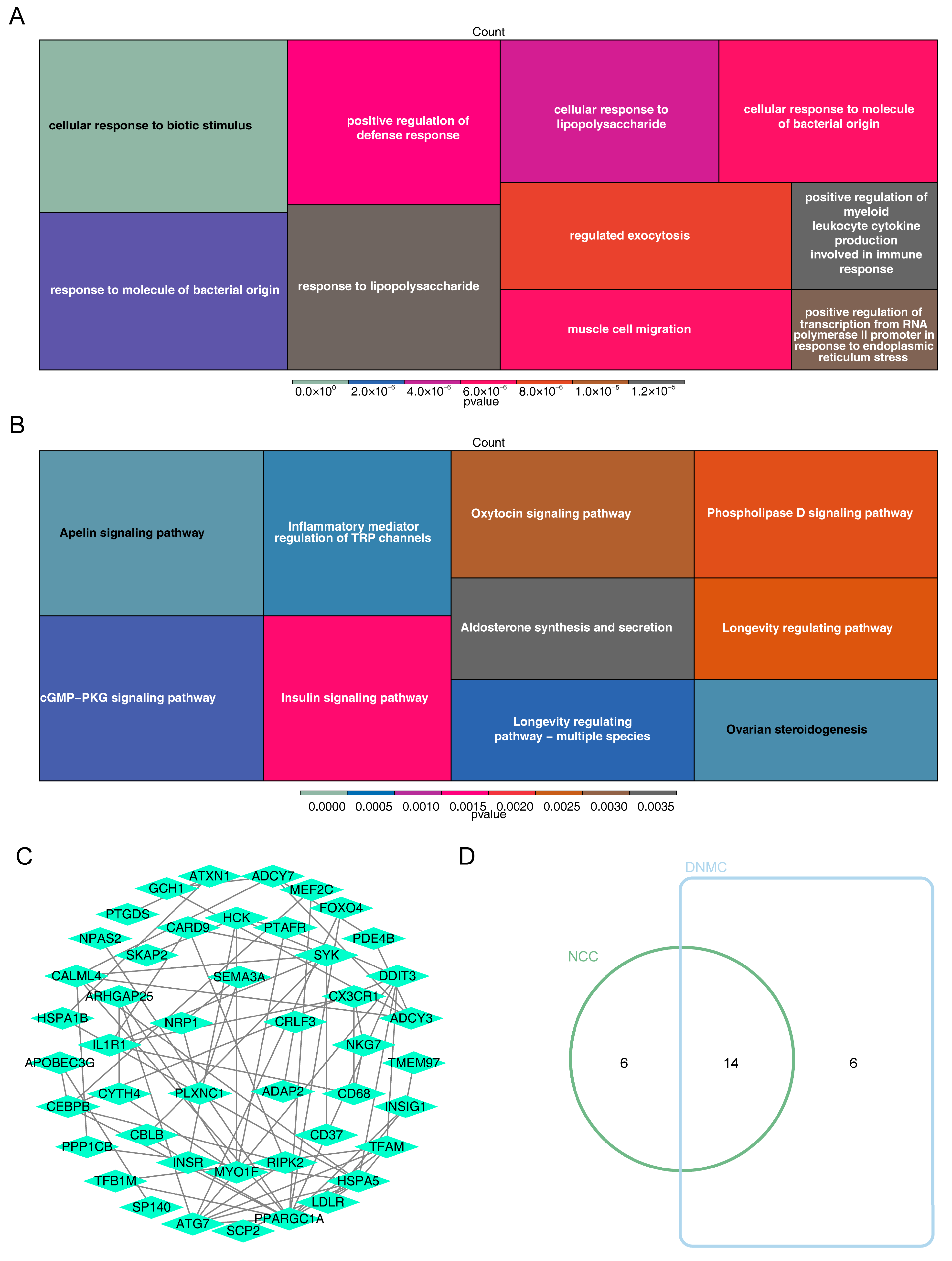 Bioengineering 12 00930 g002