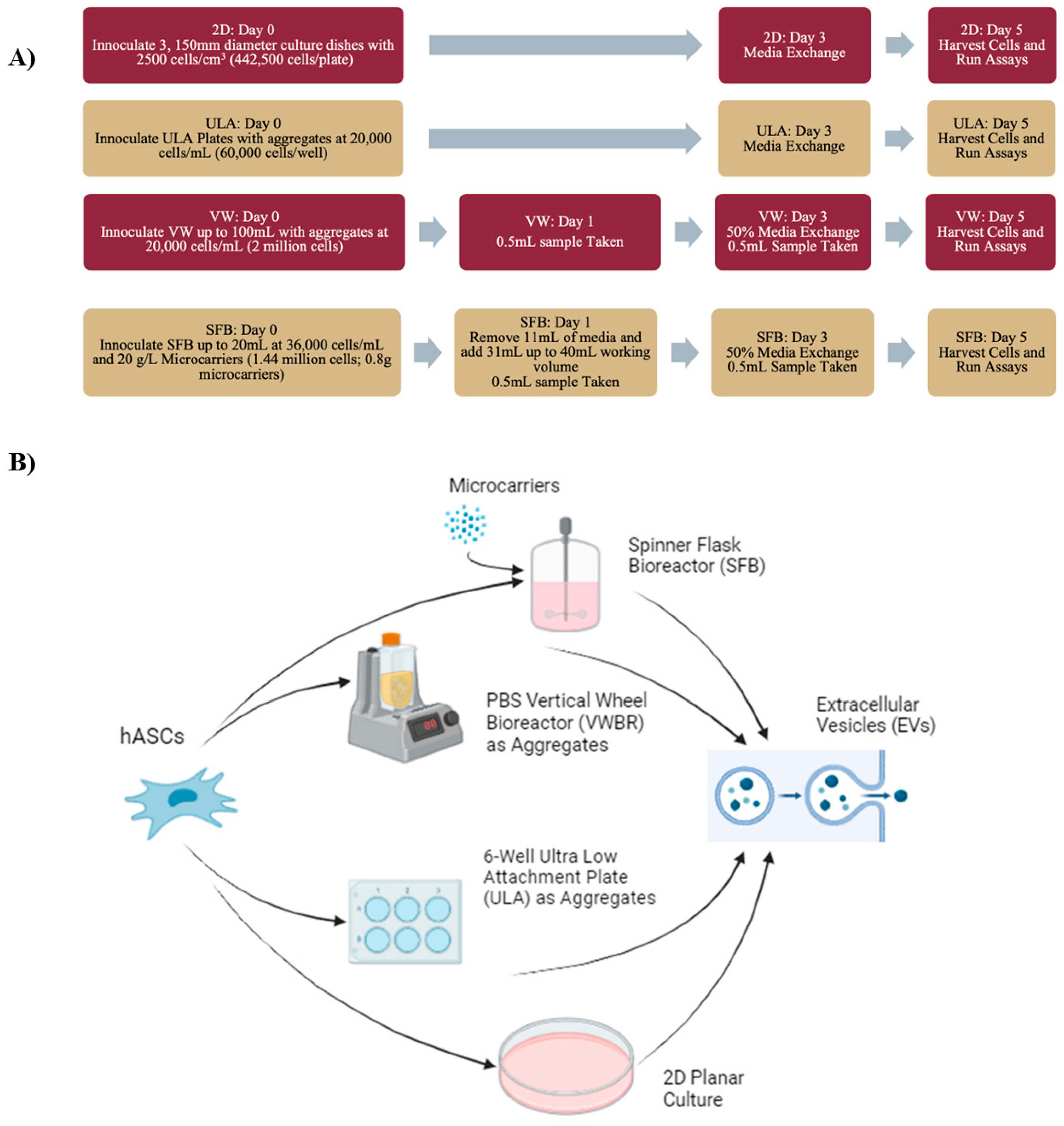 Bioengineering 12 00933 g001