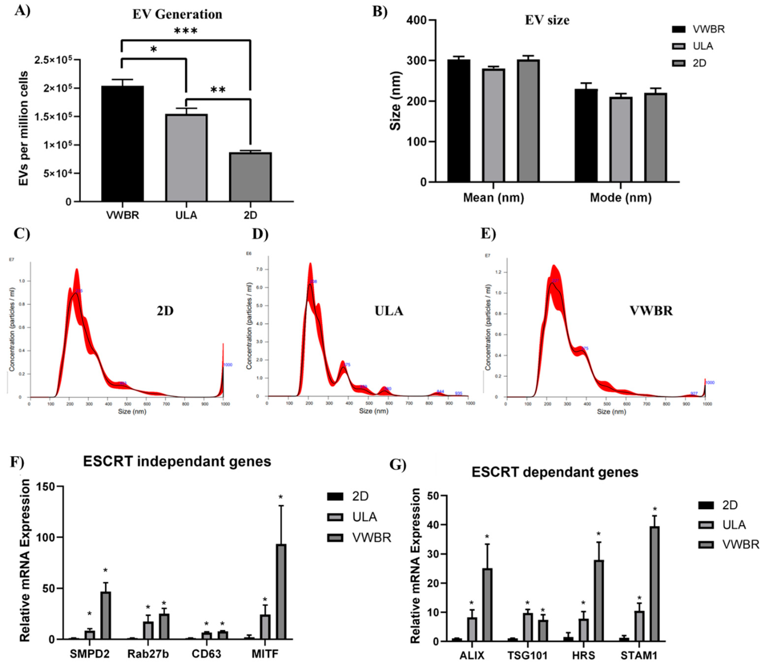 Bioengineering 12 00933 g004