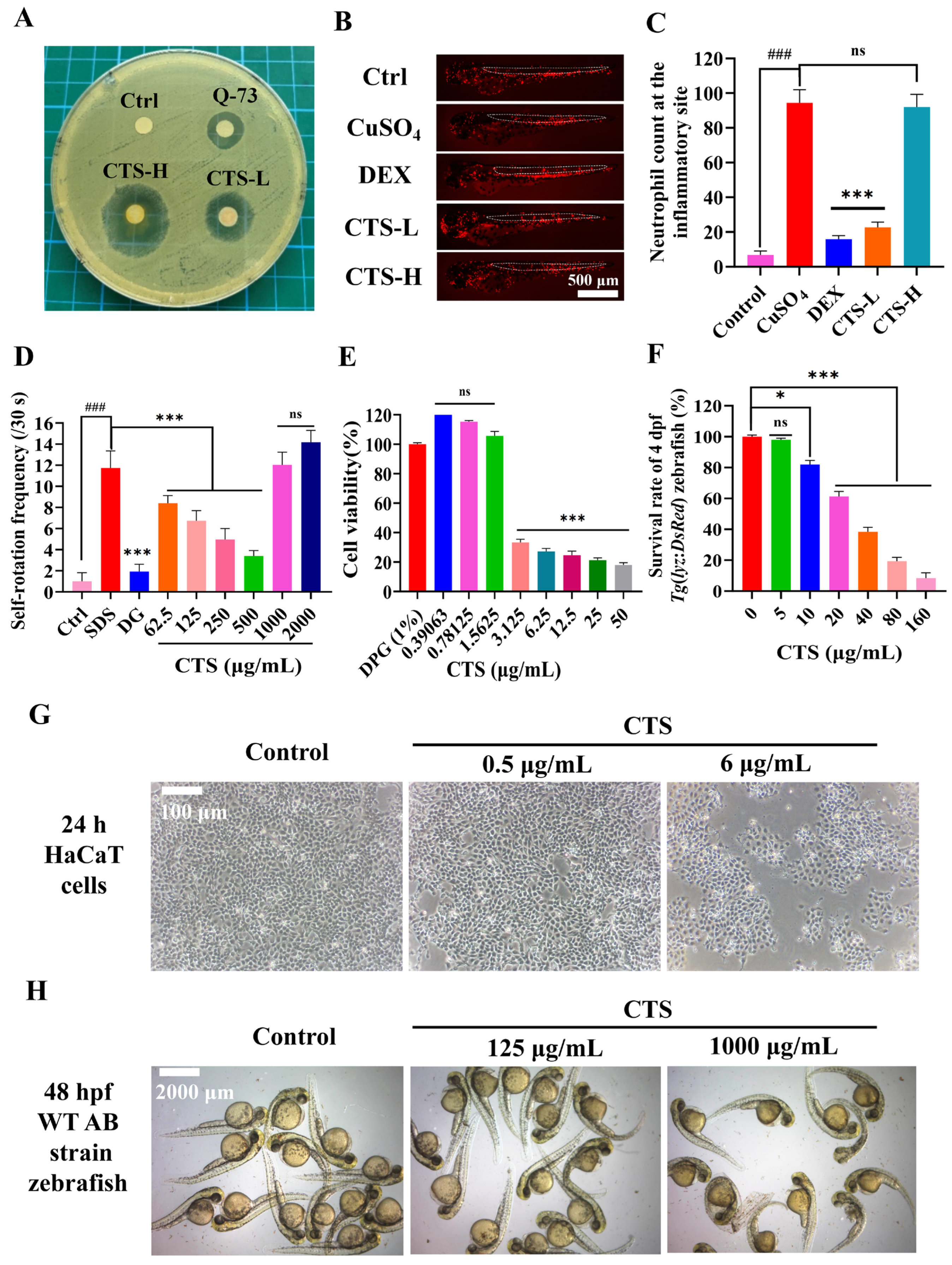 Bioengineering 12 00935 g001 Bioengineering 12 00935 g001