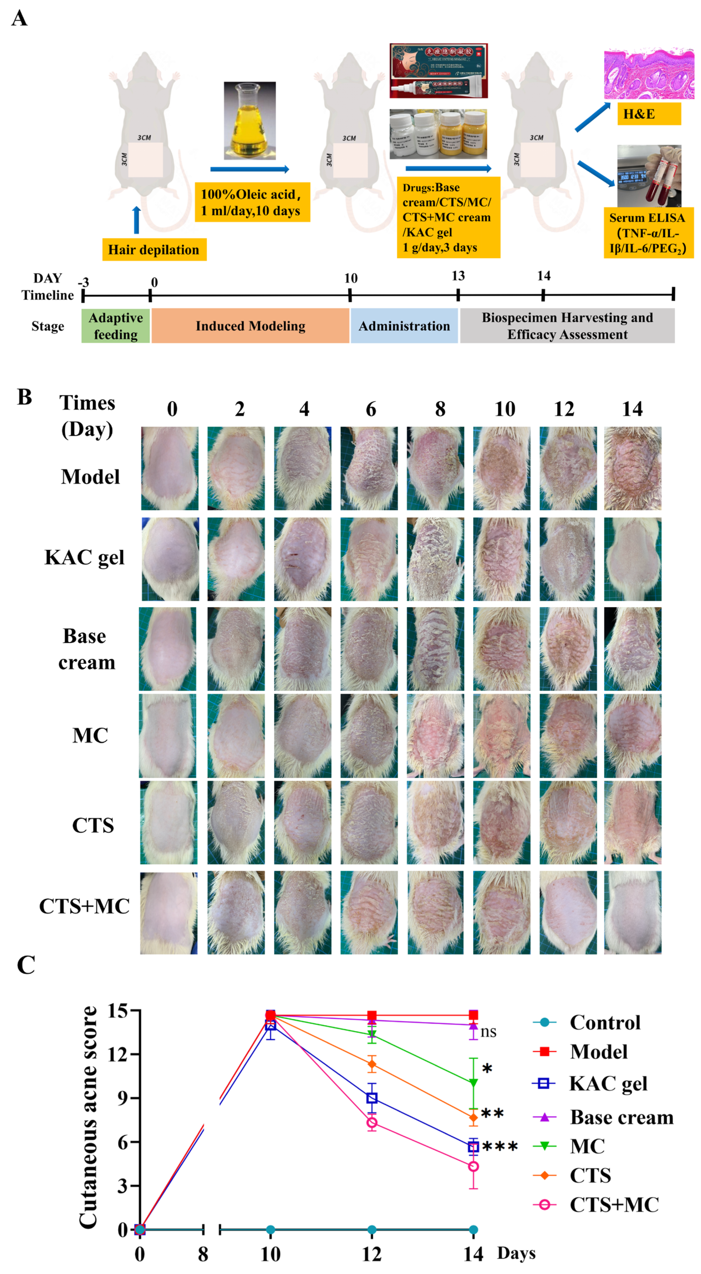 Bioengineering 12 00935 g007 Bioengineering 12 00935 g007