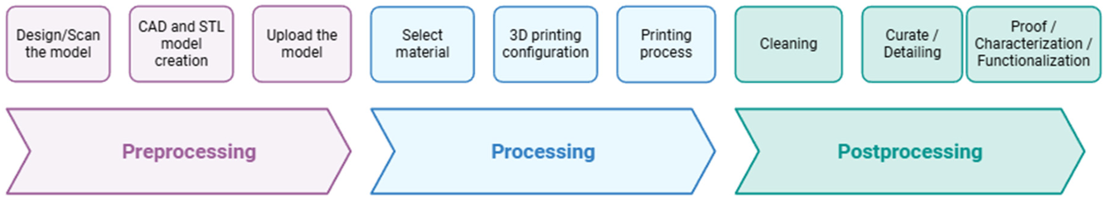 Bioengineering 12 00936 g001