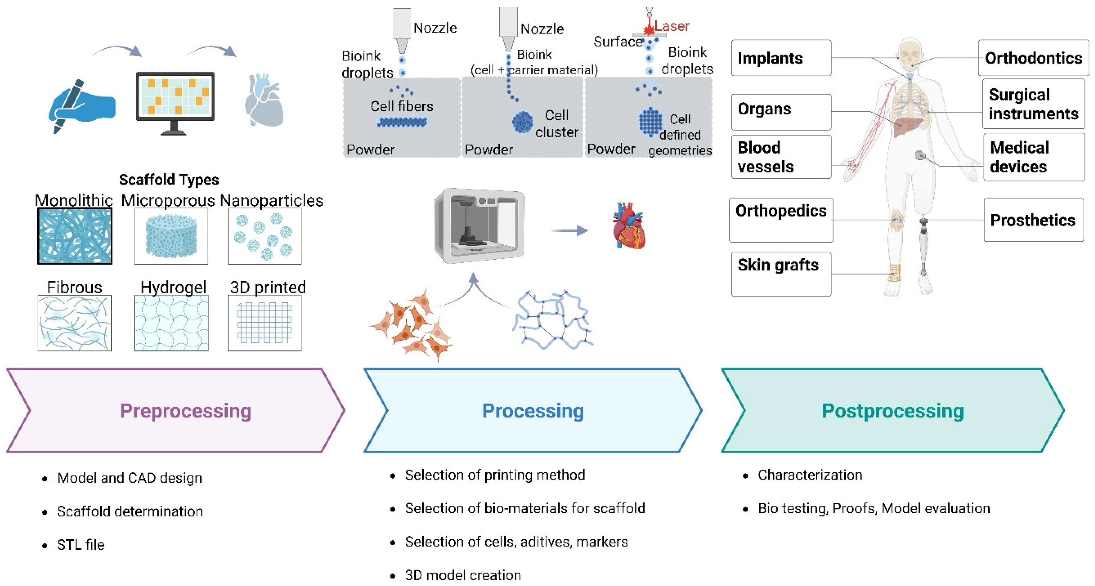 Bioengineering 12 00936 g002