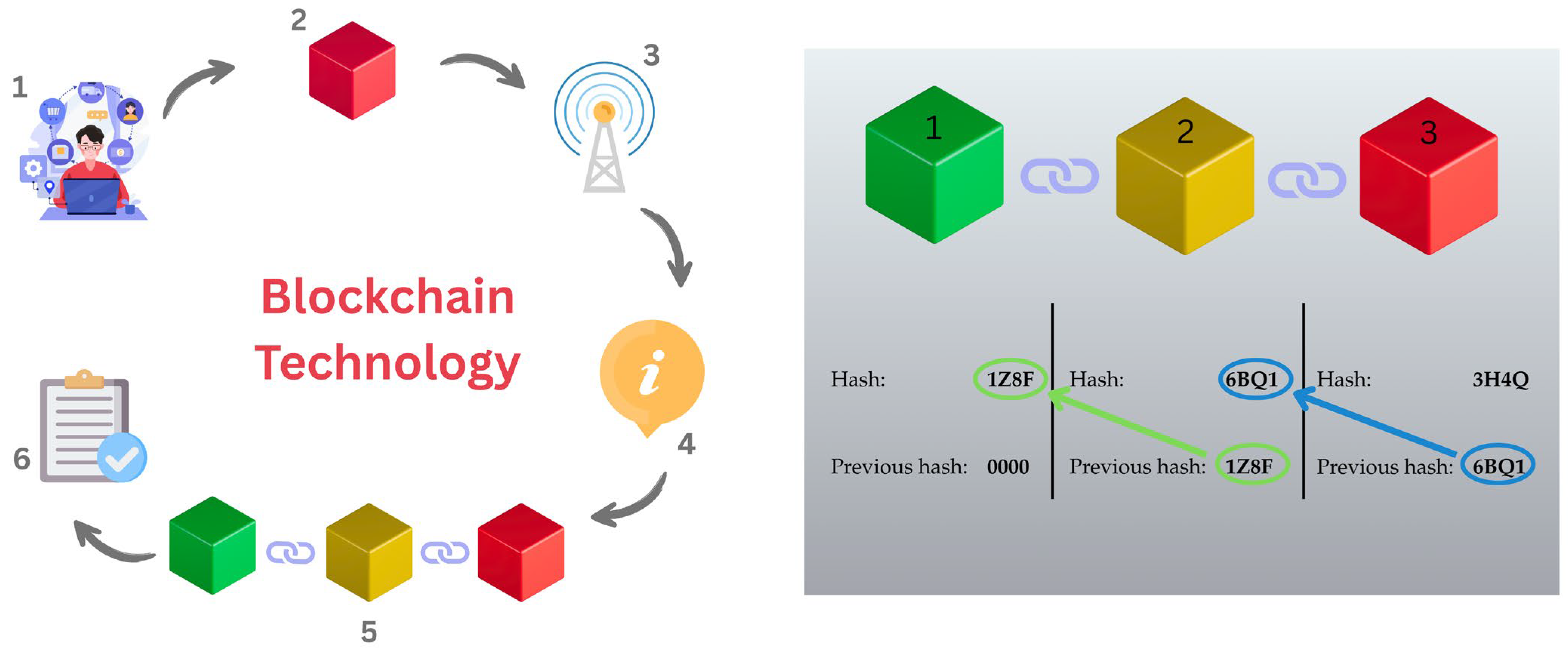 Bioengineering 12 00938 g001 Bioengineering 12 00938 g001