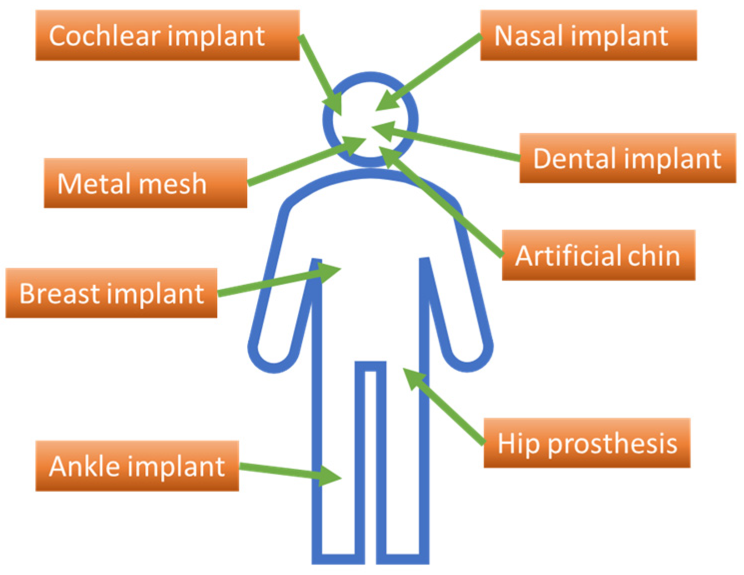 Bioengineering 12 00939 g001