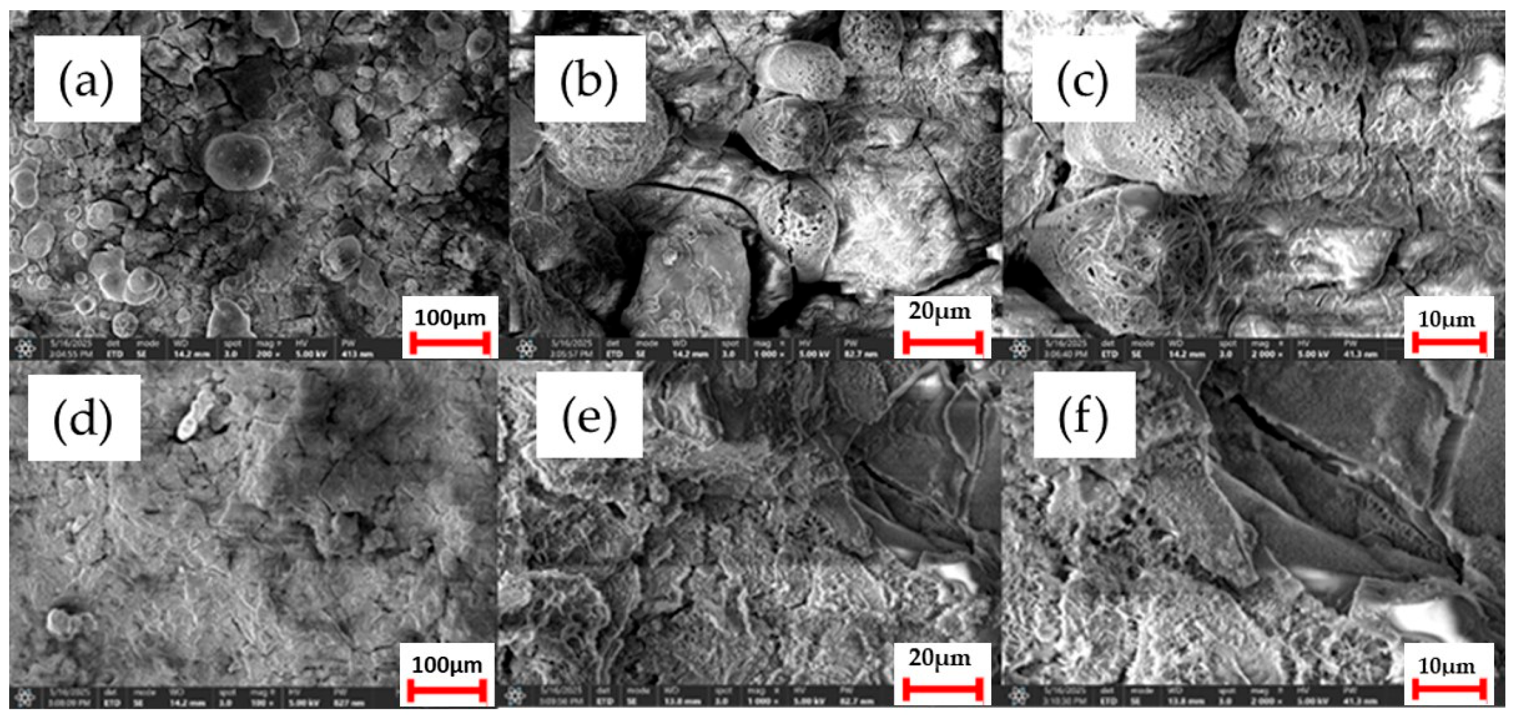 Bioengineering 12 00939 g009