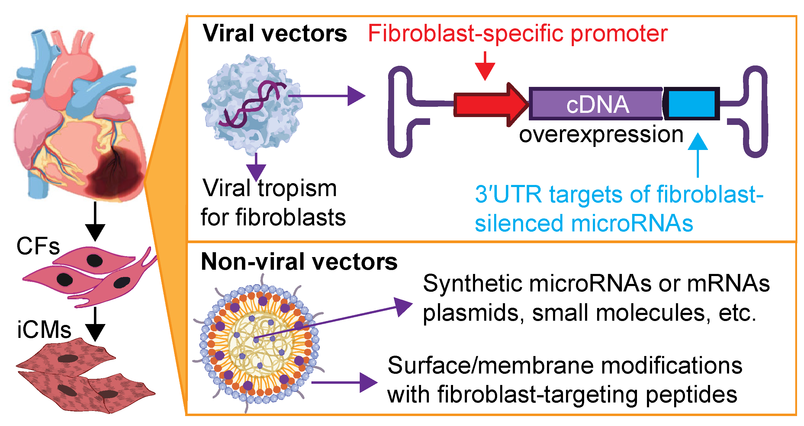 Bioengineering 12 00940 g001