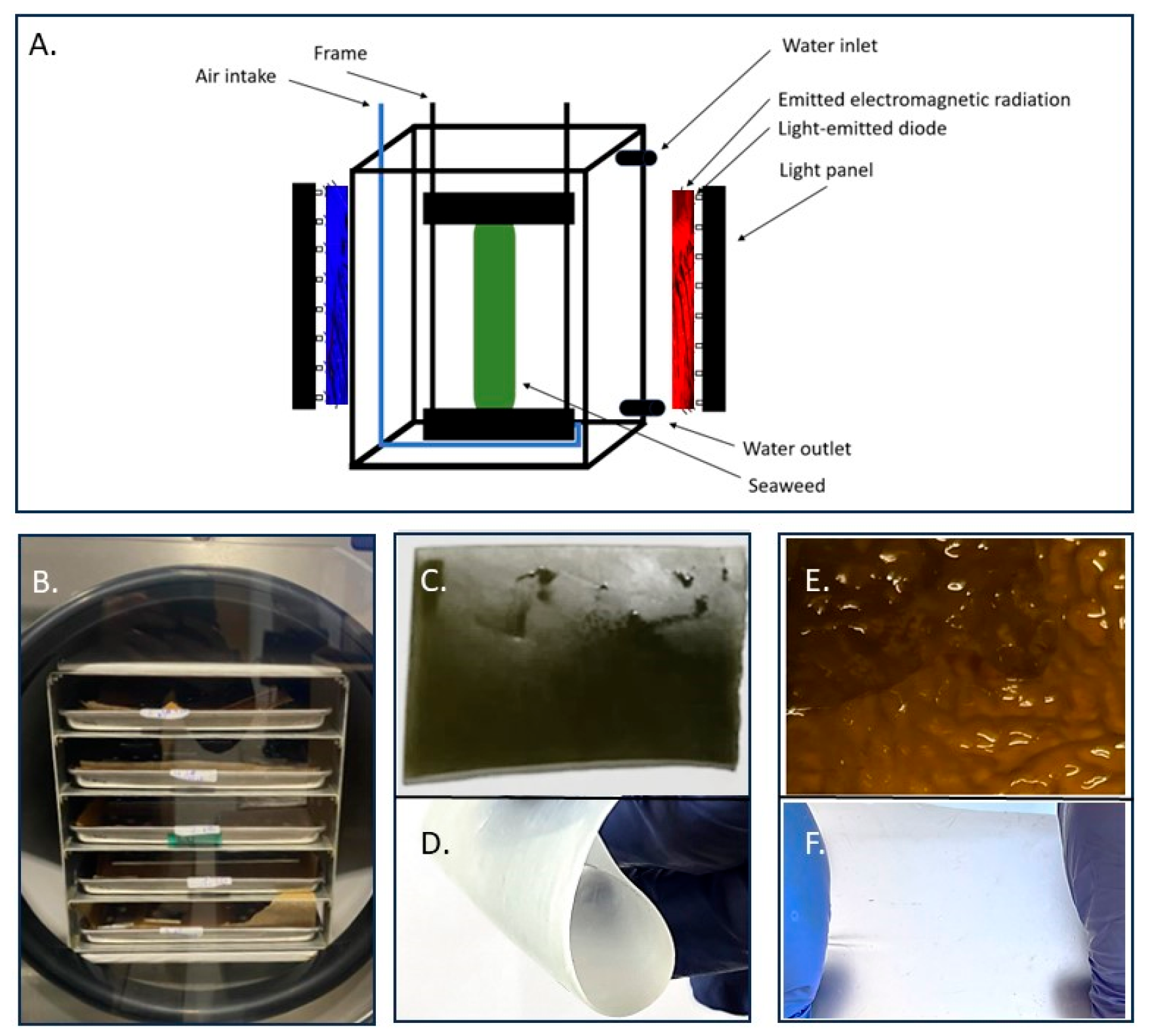 Bioengineering 12 00943 g001 Bioengineering 12 00943 g001