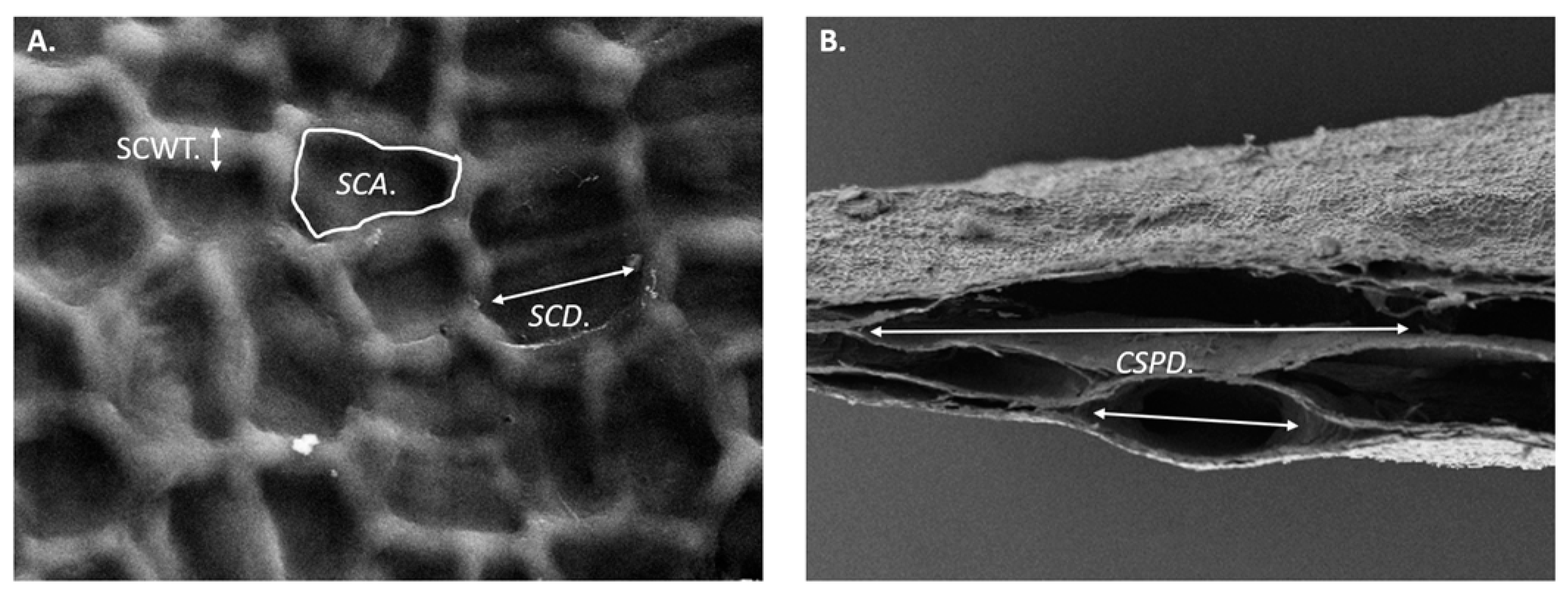 Bioengineering 12 00943 g002 Bioengineering 12 00943 g002