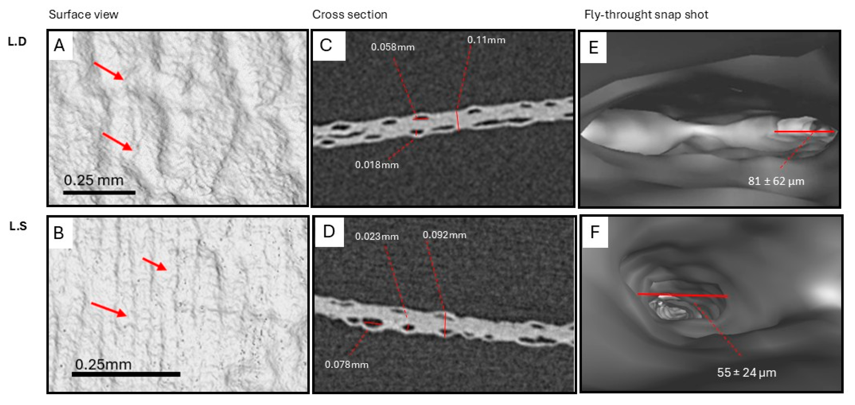 Bioengineering 12 00943 g010 Bioengineering 12 00943 g010