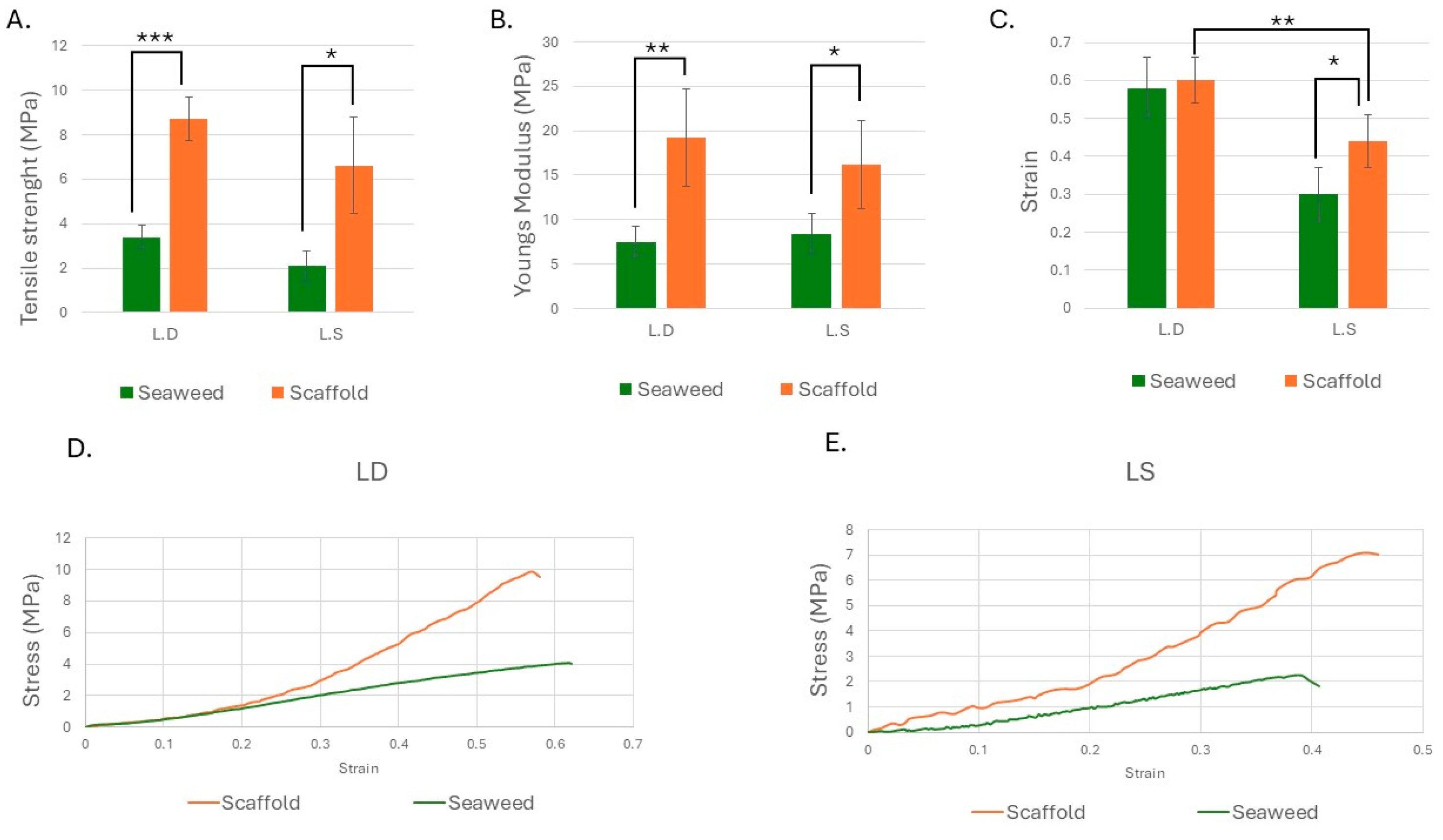 Bioengineering 12 00943 g012 Bioengineering 12 00943 g012