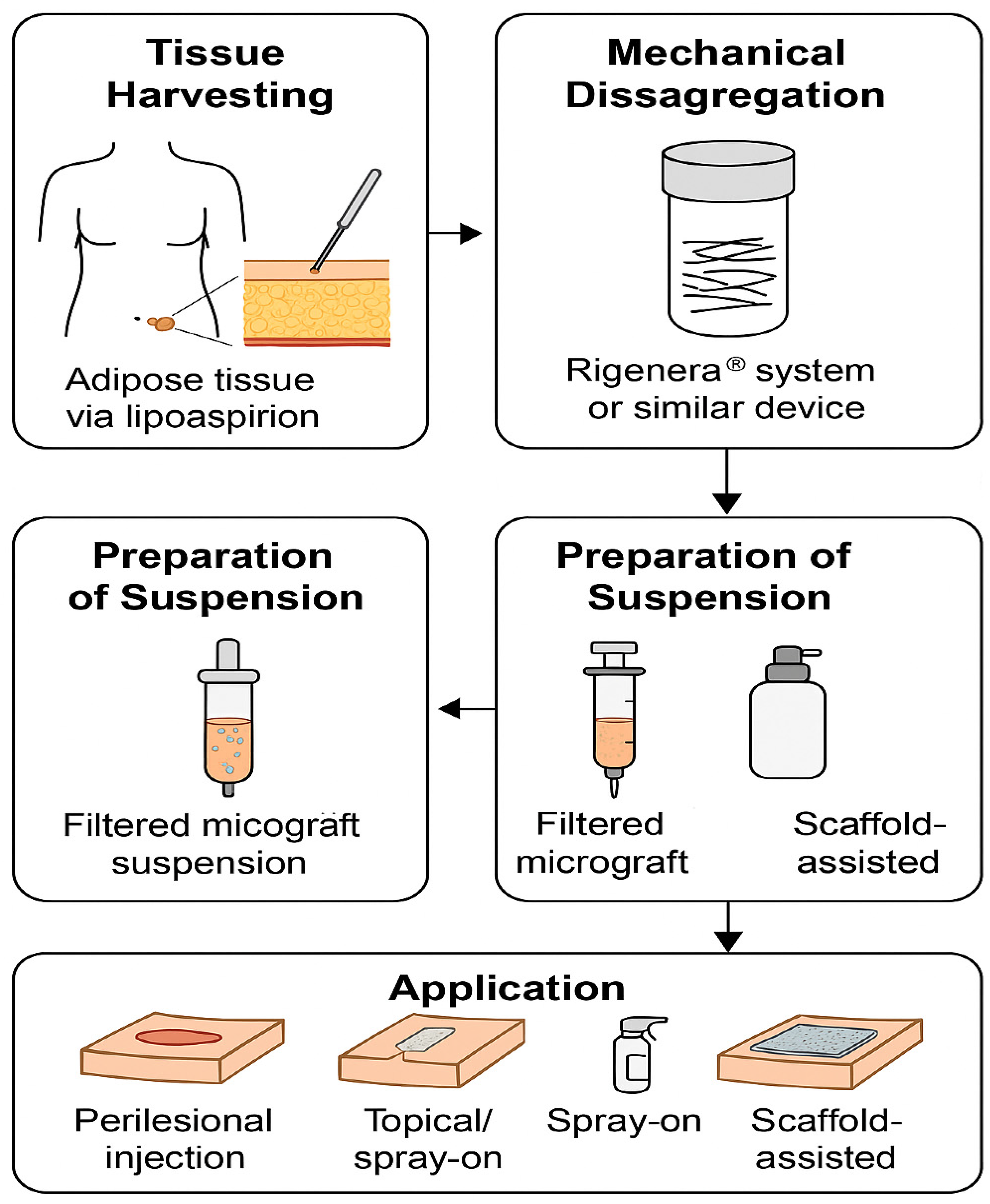 Bioengineering 12 00948 g001