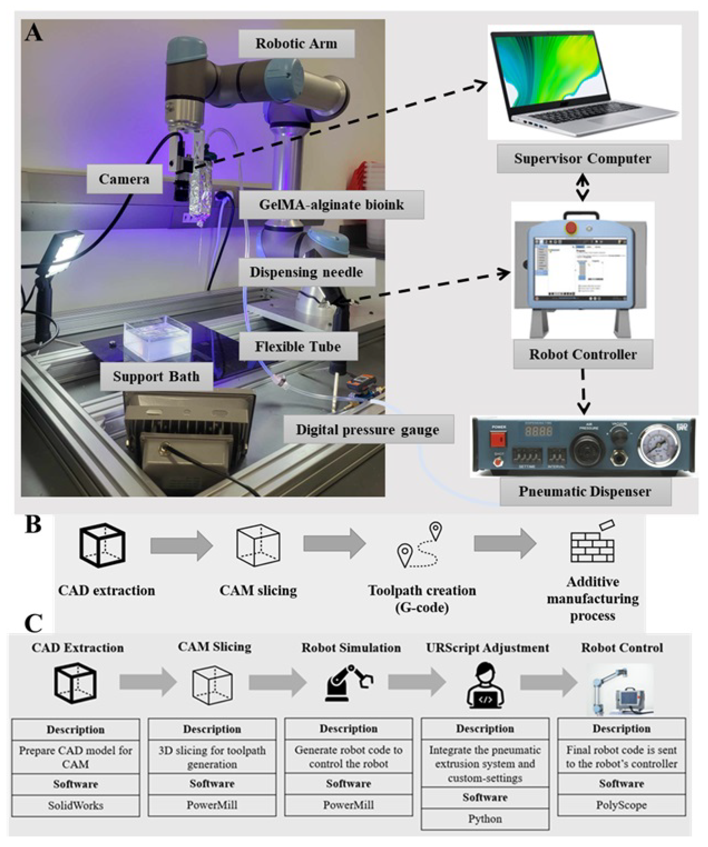 Bioengineering 12 00949 g001 Bioengineering 12 00949 g001