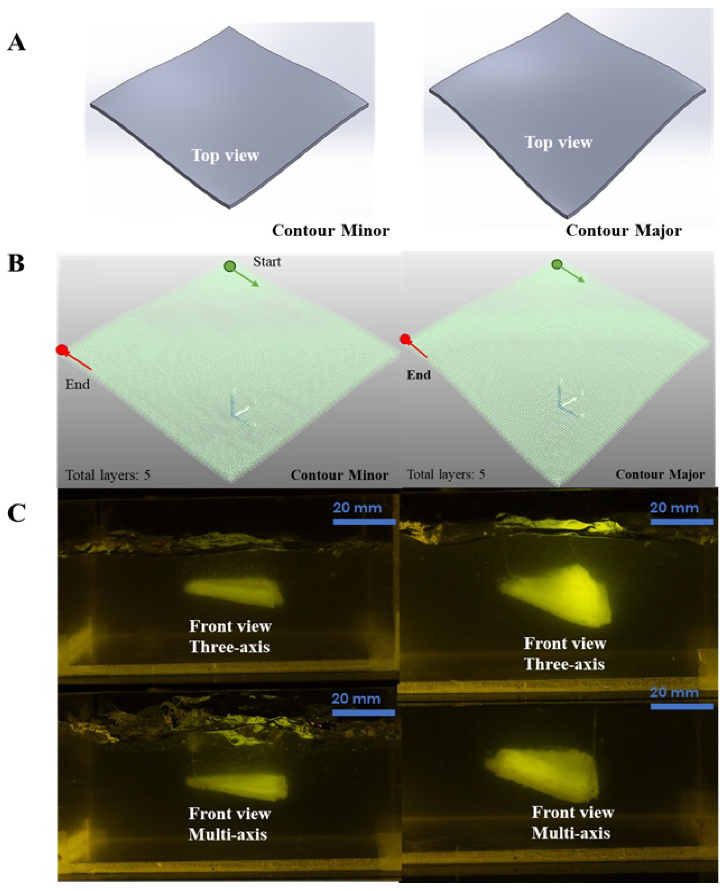 Bioengineering 12 00949 g004 Bioengineering 12 00949 g004