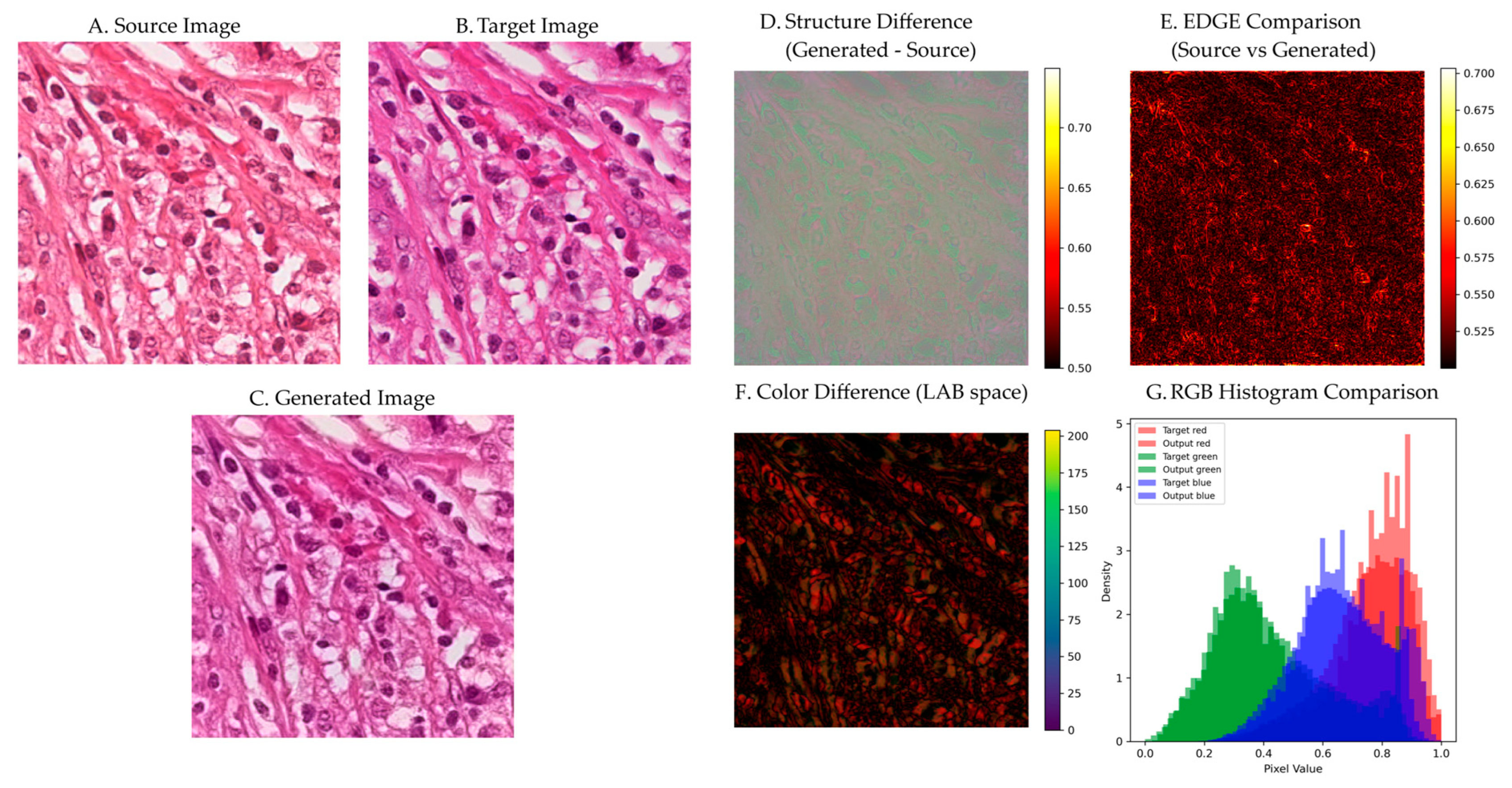 Bioengineering 12 00950 g011