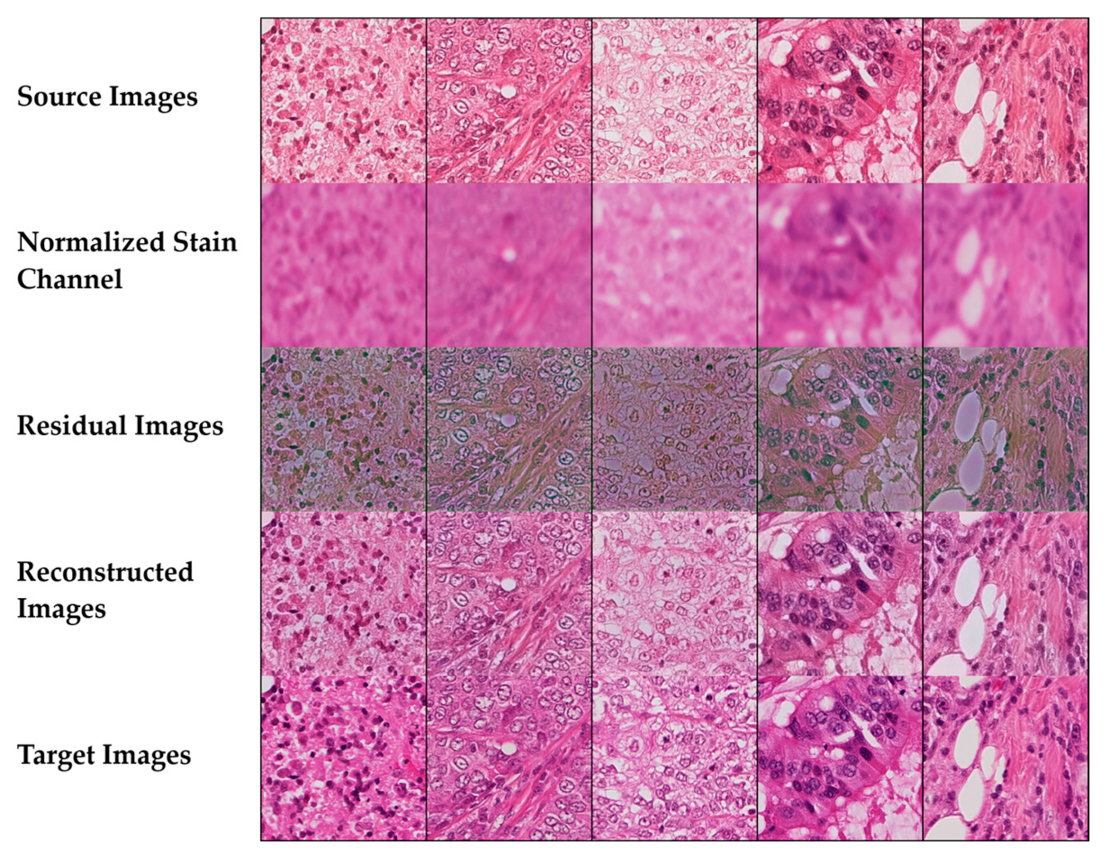 Bioengineering 12 00950 g012