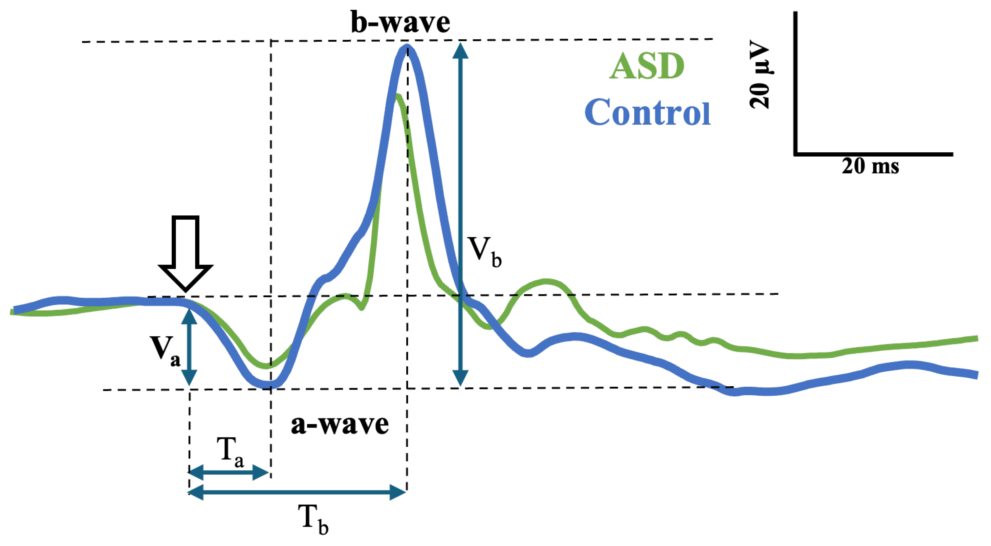 Bioengineering 12 00951 g001