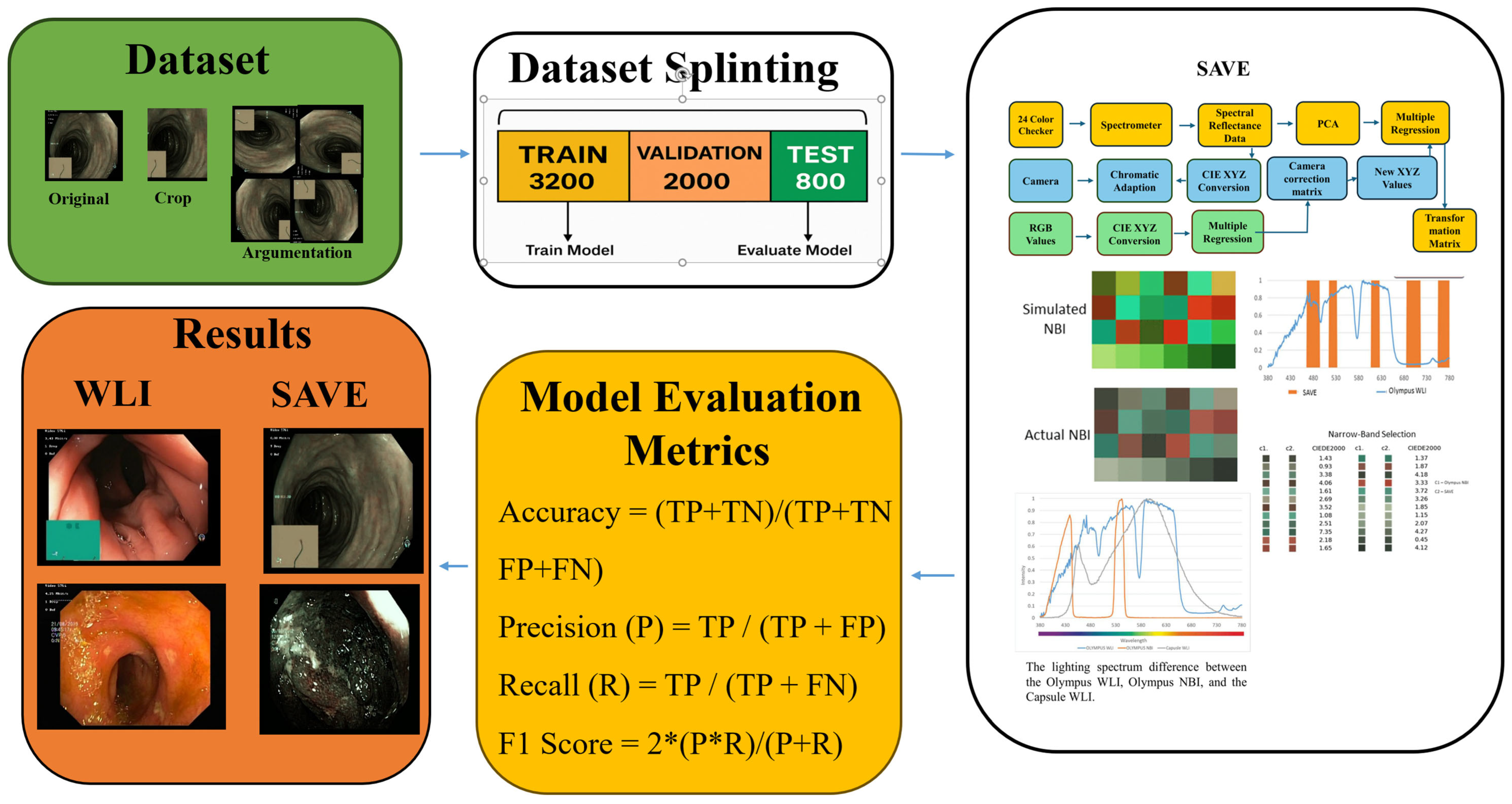 Bioengineering 12 00953 g001