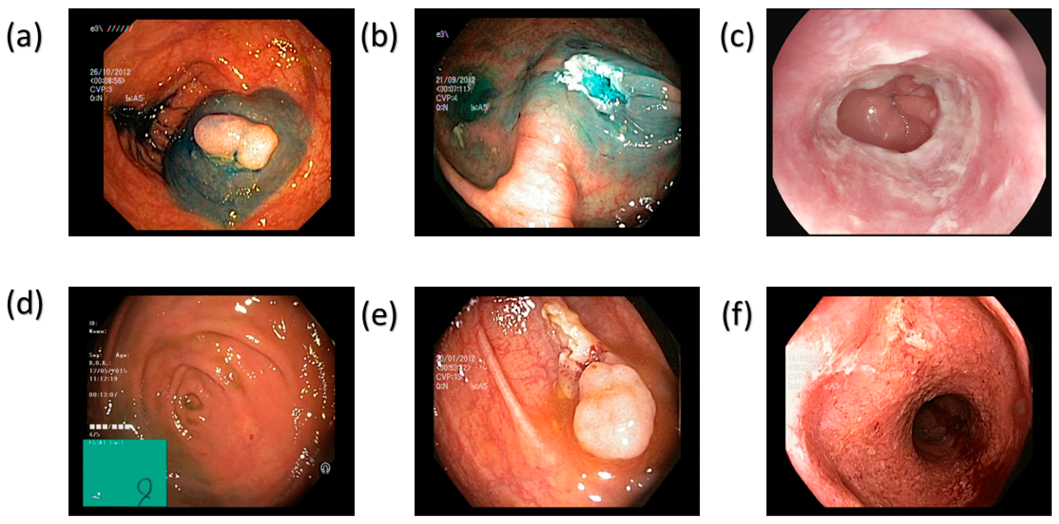 Bioengineering 12 00953 g002
