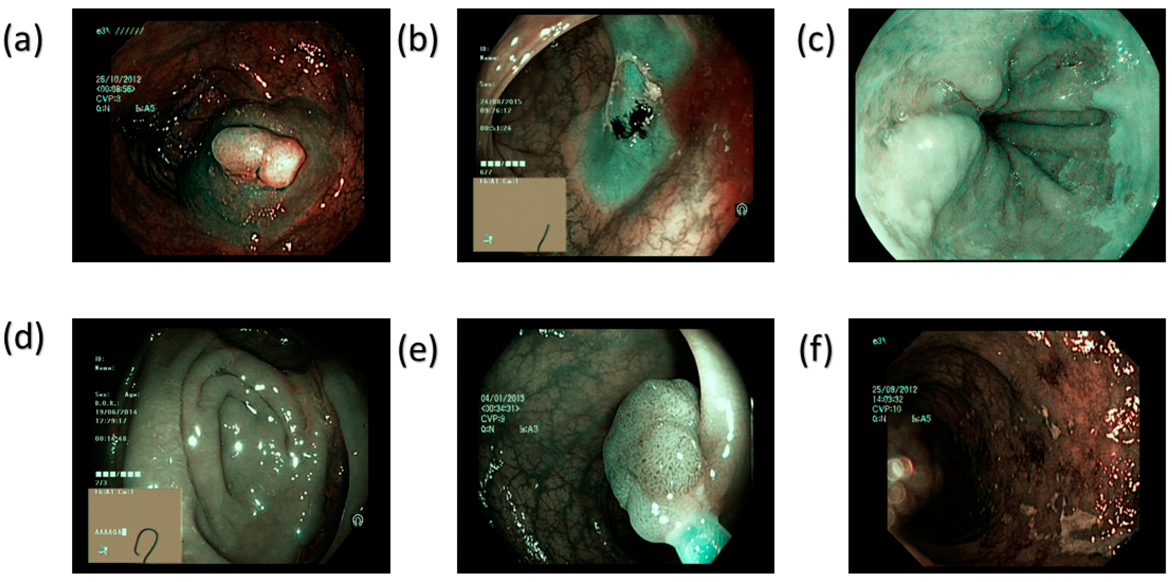 Bioengineering 12 00953 g003