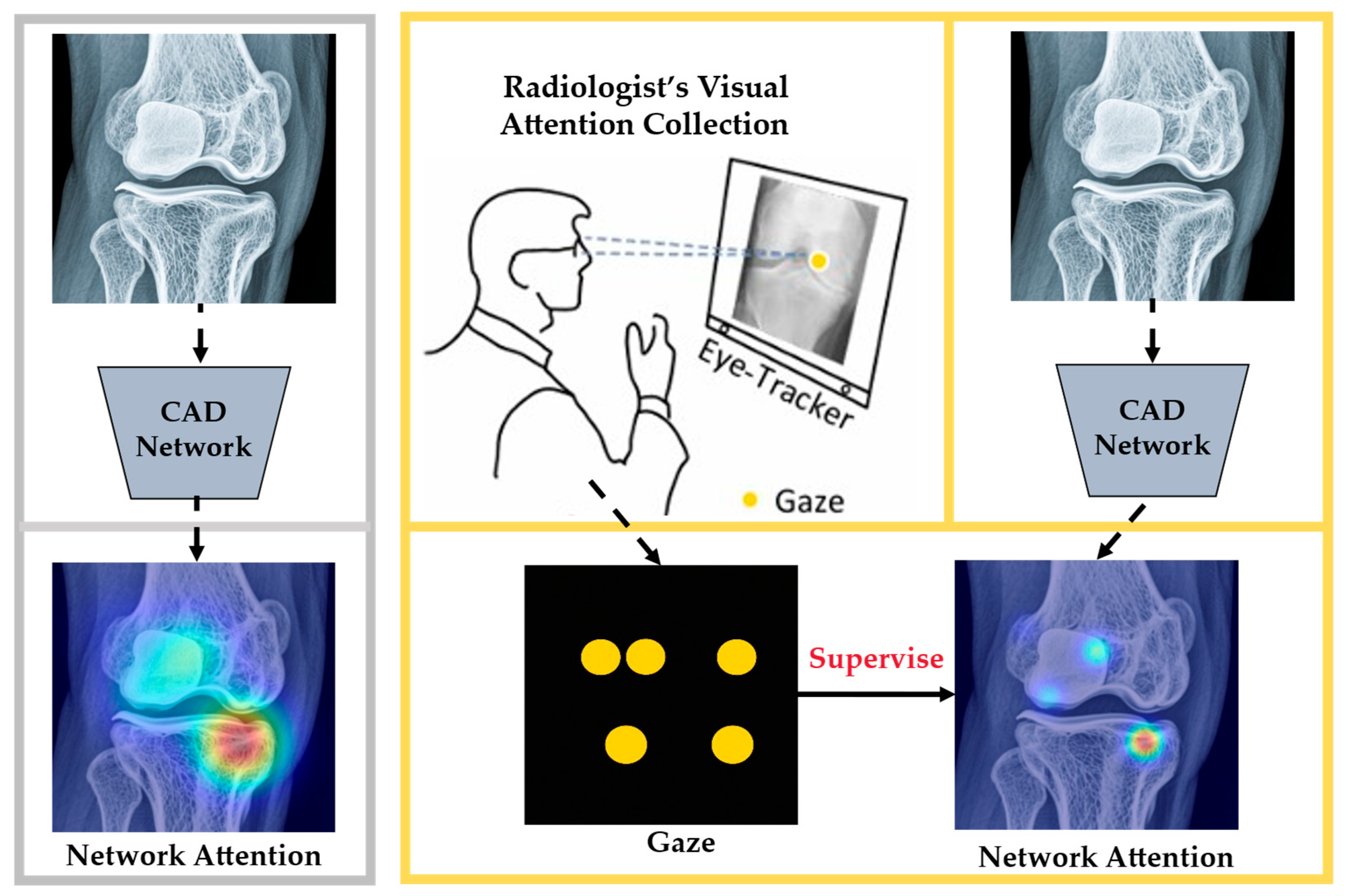 Bioengineering 12 00954 g004
