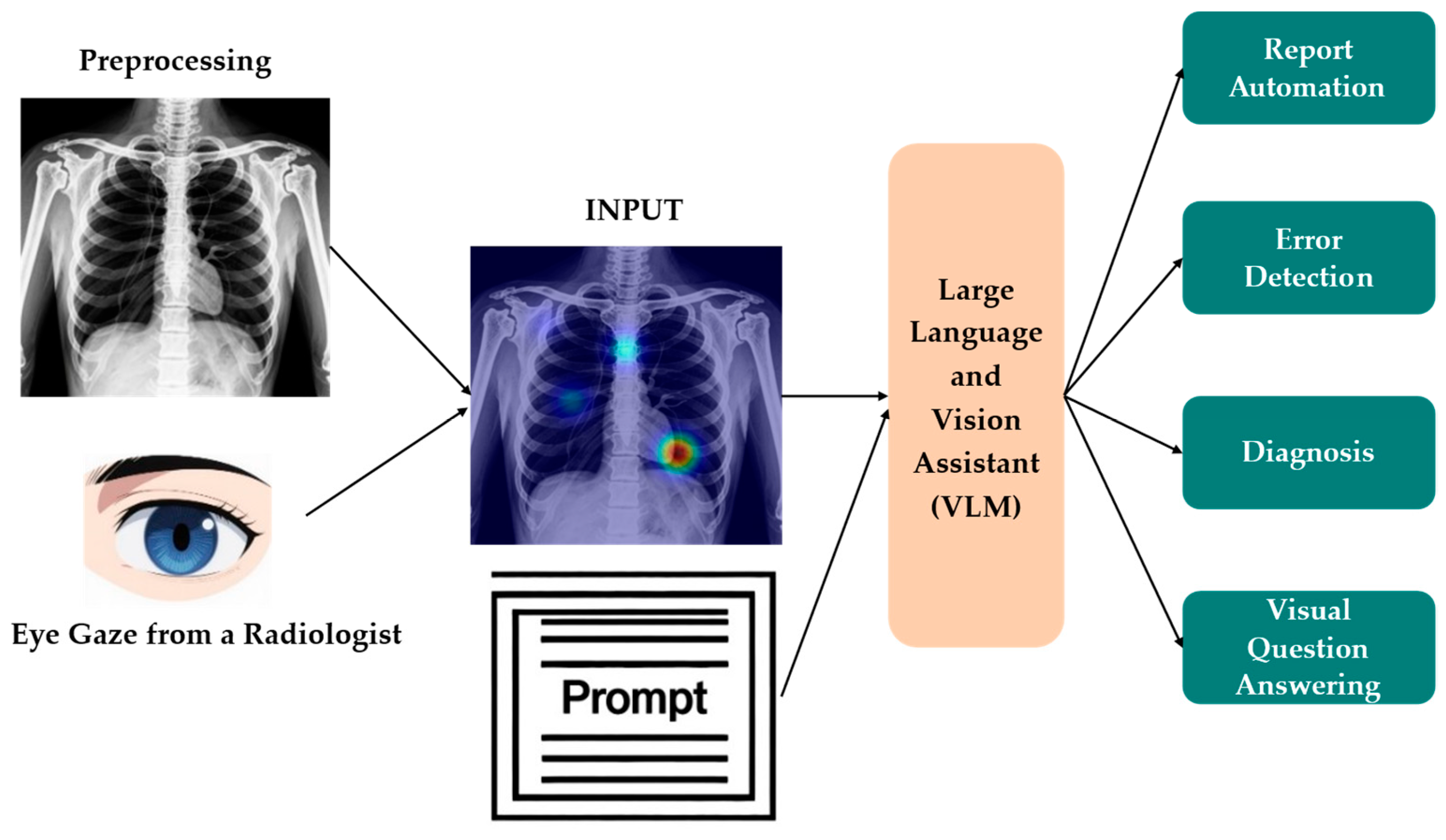 Bioengineering 12 00954 g005