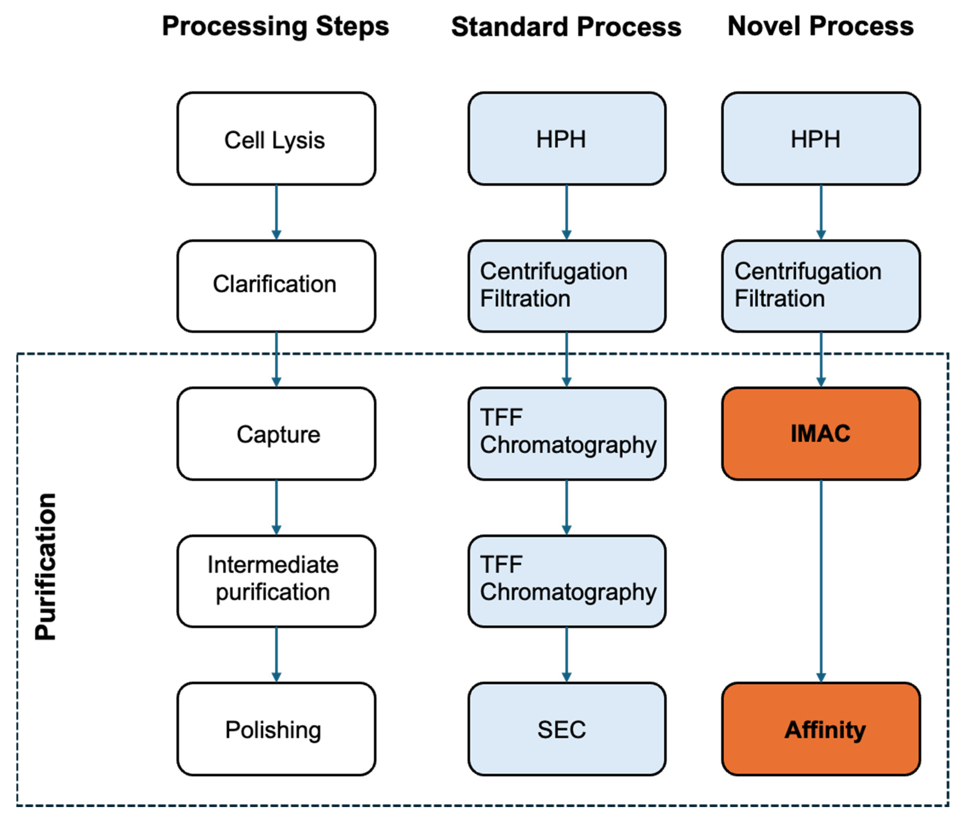 Bioengineering 12 00956 g003