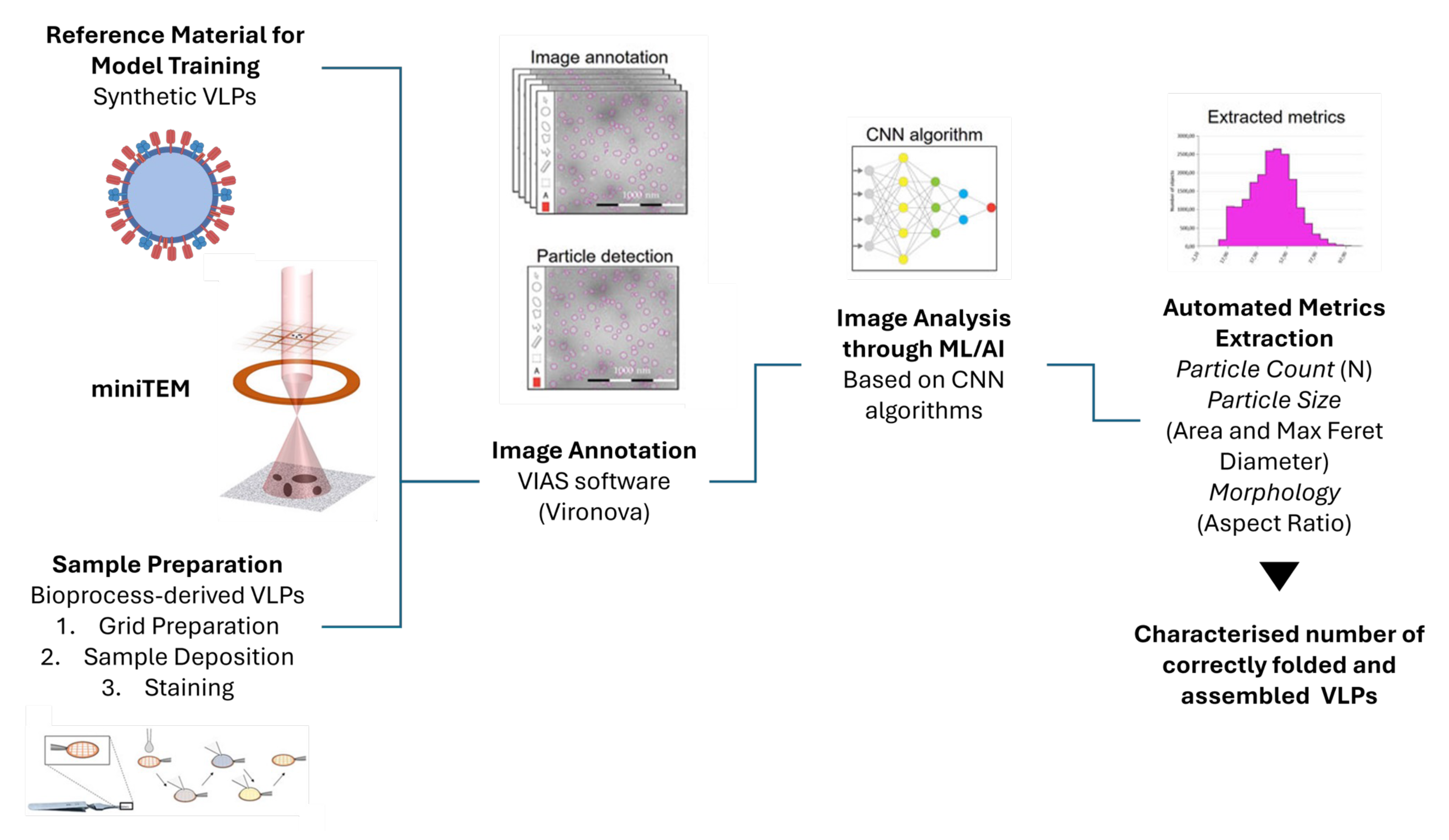 Bioengineering 12 00956 g006
