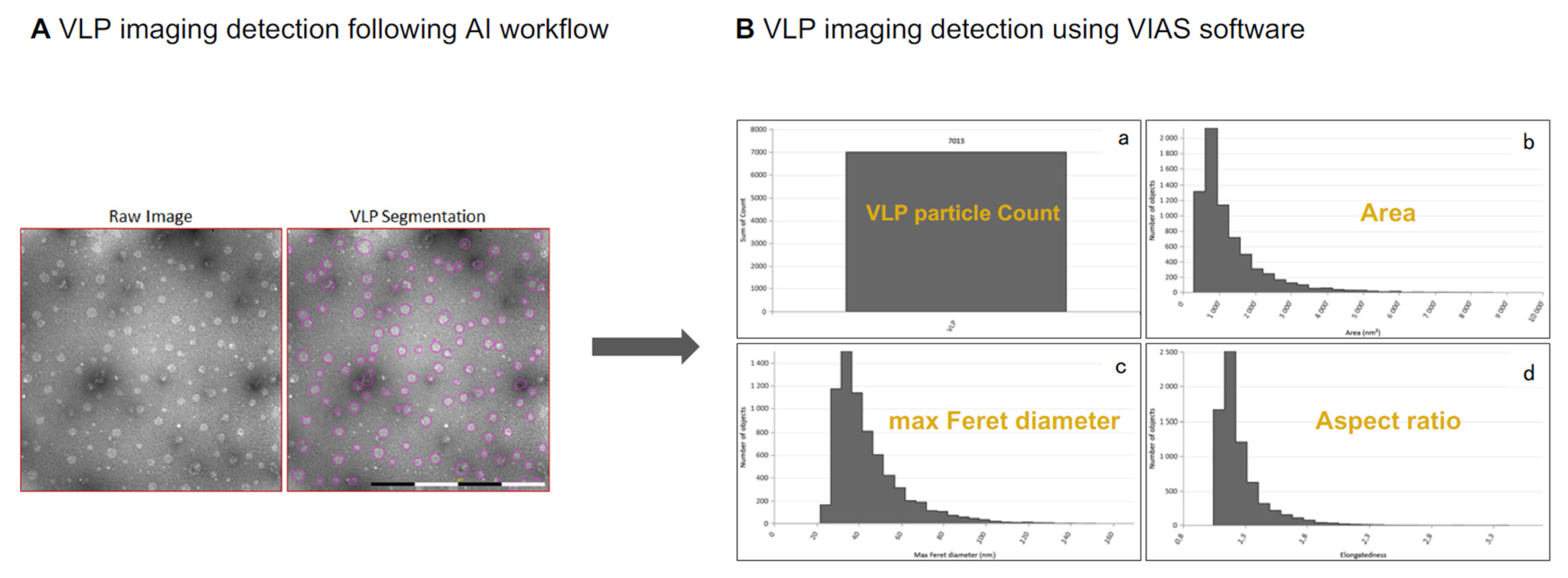 Bioengineering 12 00956 g007